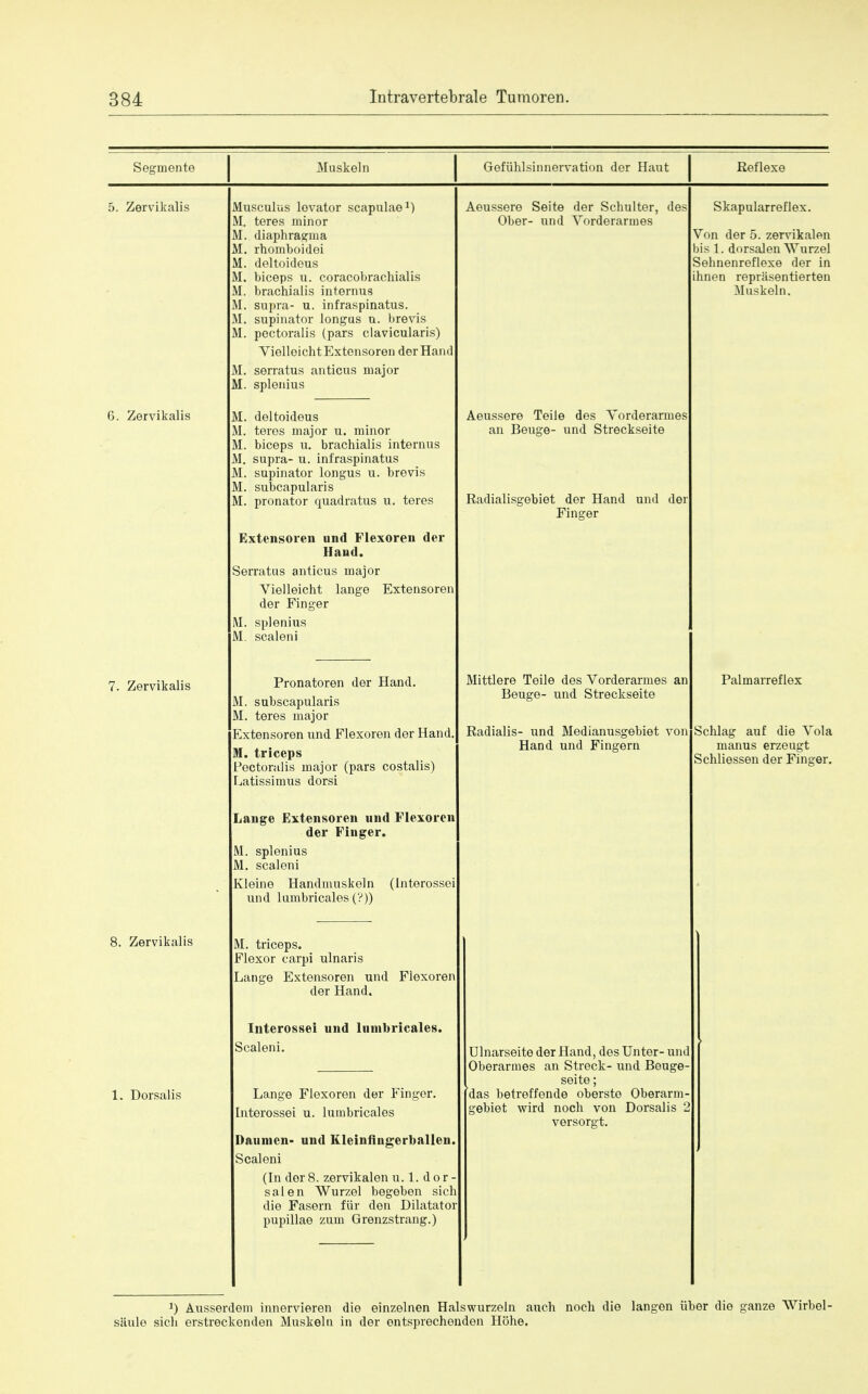 Segmente j Muskoln j Gefiihlsinnervation der Haut Reflexe 5. Zervikalis Musculus lovator scapulae1) M. teres minor M. diaphragnia Ma rhomboidei M. deltoideus M. biceps u. coracobrachialis M. brachialis interims M. supra- u. infraspinatus. M. supinator longus u. brevis M. pectoralis (pars clavicularis) Vielleicht Extensoren der Hand M. serratus anticus major M. splenius Aeussere Seite der Schulter, des Ober- und Vorderarines Skapularreflex. Von der 5. zervikalen bis 1. dorsalen W urzel Sehnenreflexe der in ihnen reprasentierten Muskeln, 6. Zervikalis M. deltoideus M. teres major u. minor M. biceps u. brachialis interims M. supra- u. infraspinatus M. supinator longus u. brevis M. subcapularis M. pronator quadratus u. teres Extensoren und Flexoren der Hand. Serratus anticus major Vielleicht lange Extensoren der Finger M. splenius M. scaleni Aeussere Teile des Vorderarines an Beuge- und Streckseite Radialisgebiet der Hand und der Finger 7. Zervikalis Pronatoren der Hand. M. subscapularis M. teres major Extensoren und Flexoren der Hand. M. triceps Latissimus dorsi Lange Extensoren und Flexoren der Finger. M. splenius M. scaleni Kleine Handmuskeln (lnterossei und lumbricales (?)) Mittlere Teile des Vorderarmes an Beuge- und Streckseite Radialis- und Medianusgebiet von Hand und Fingern Palmarreflex Schlag auf die Vola manus erzeugt Schliessen der Finger. 8. Zervikalis M. triceps. Flexor carpi ulnaris Lange Extensoren und Flexoren der Hand. 1. Dorsalis lnterossei und lumbricales. Scaleni. Lange Flexoren der Finger, lnterossei u. lumbricales Daumen- und Kleinfingerballen. Scaleni (In dor 8. zervikalen u. 1. d o r - sal en Wurzel begeben sich die Fasern fur den Dilatator pupillae zum Grenzstrang.) Ulnarseite der Hand, des Unter- und Oberarmes an Streck- und Beuge- seite; (das betreffende obersto Oberarm- gebiet wird noch von Dorsalis 2 versorgt. J) Ausserdem innervieren die einzelnen Halswurzeln auch noch die langen iiber die ganze Wirbel- saule sich erstreckenden Muskeln in der entsprechenden Hohe.