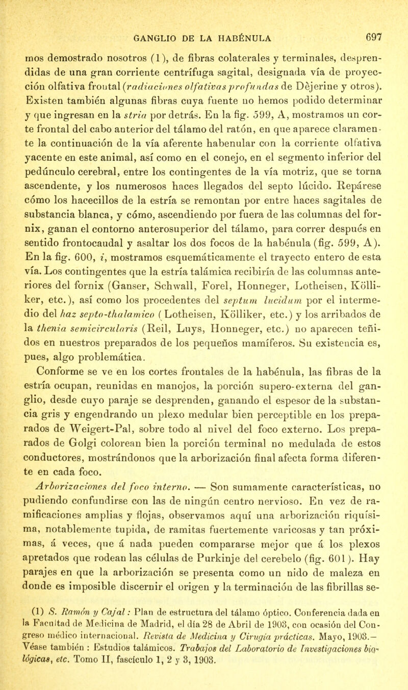 mos demostrado nosotros (1), de fibras colaterales y terminales, despren- didas de una gran corriente centrifuga sagital, designada via de proyec- cion olfativa froutal (radiaciones olfativas profundus de Dejerine y otros). Existen tambien algunas fibras cuya fuente no hemos podido determinar y que ingresan en la stria por detras. En la fig. 599, A, mostramos un cor- te frontal del cabo anterior del talamo del raton, en que aparece claramen- te la continuacion de la via aferente habenular con la corriente olfativa yacente en este animal, asi como en el conejo, en el segmento inferior del pedunculo cerebral, entre los contingentes de la via motriz, que se torna ascendente, y los numerosos haces llegados del septo lucido. Reparese como los hacecillos de la estria se remontan por entre haces sagitales de substancia blanca, y como, ascendiendo por fuera de las columnas del for- nix, ganan el contorno anterosuperior del talamo, para correr despues en sentido frontocaudal y asaltar los dos focos de la habenula (fig. 599, A). En la fig. 600, i, mostramos esquematicamente el trayecto entero de esta via. Los contingentes que la estria talamica recibiria de las columnas ante- riores del fornix (Ganser, Schwall, Forel, Honneger, Lotheisen, Kolli- ker, etc.), asi como los procedentes del septum lucidum por el interme- dio del haz septo-thalamico (Lotheisen, Kolliker, etc.) y los arribados de la thenia semicircularis (Reil, Luys, Honneger, etc.) no aparecen teni- dos en nuestros preparados de los pequenos mamiferos. Su existeocia es, pues, algo problematica. Conforme se ve en los cortes frontales de la habenula, las fibras de la estria ocupan, reunidas en manojos, la porcion supero-externa del gan- glio, desde cuyo paraje se desprenden, ganando el espesor de la substan- cia gris y engendrando un plexo medular bien perceptible en los prepa- rados de Weigert-Pal, sobre todo al nivel del foco externo. Los prepa- rados de Golgi colorean bien la porcion terminal no medulada de estos conductores, mostrandonos que la arborizacion final afecta forma diferen- te en cada foco. Arborizaciones del foco interno. — Son sumamente caracteristicas, no pudiendo confundirse con las de ningun centro nervioso. En vez de ra- mificaciones amplias y flojas, observamos aqui una arborizacion riquisi- ma, notablemente tupida, de ramitas fuertemente varicosas y tan proxi- mas, a veces, que a nada pueden compararse mejor que a los plexos apretados que rodean las celulas de Purkinje del cerebelo (fig. 601). Hay parajes en que la arborizacion se presenta como un nido de maleza en donde es imposible discernir el origen y la terminacion de las fibrillas se- (1) S. Ramon y Cajal: Plan de estructura del talamo optico. Conferencia dada en la Facnltad de Medicina de Madrid, el dia 28 de Abril de 1903, con ocasion del Con- greso medico internacional. Revista de Medicina y Cirugia prdcticas. Mayo, 1903.- Vease tambien : Estudios talamicos. Trabajos del Laboratorio de Investigaciones bid- logicas, etc. Tomo II, fasciculo 1, 2 y 3, 1903.