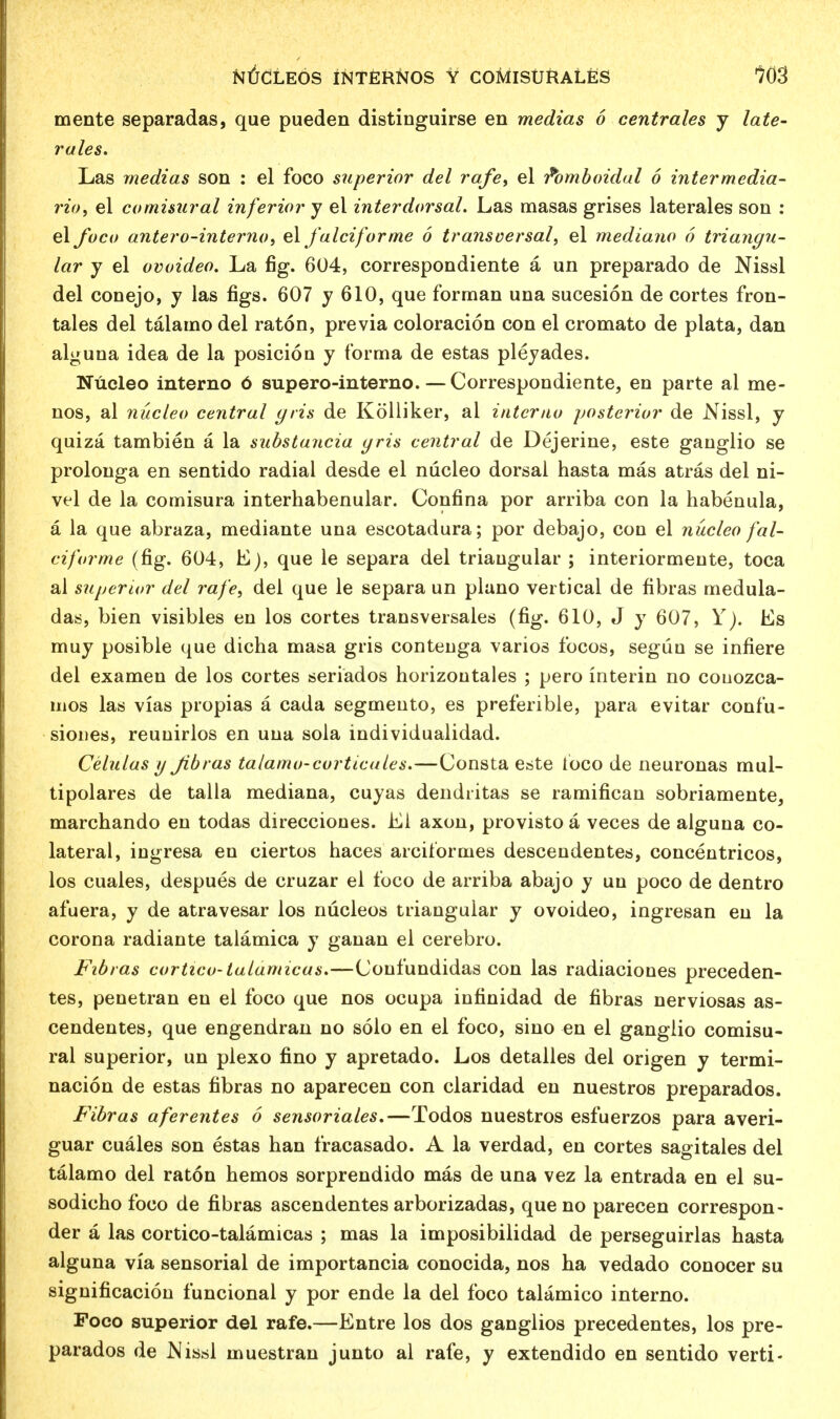 mente separadas, que pueden distinguirse en medias 6 centrales y late- rales. Las medias son : el foco superior del rafe, el r*omboidal 6 intermedia- ry), el comisural inferior y el inter dorsal. Las masas grises laterales son : el foco antero-interno, el falciforme 6 transversal, el mediano 6 triangu- lar y el ovoideo. La fig. 604, correspondiente a un preparado de Nissl del conejo, y las figs. 607 y 610, que forman una sucesion de cortes fron- tales del talamo del raton, previa coloracion con el cromato de plata, dan alguna idea de la posicion y forma de estas pleyades. Nucleo interno 6 supero-interno.— Correspondiente, en parte al me- nos, al nucleo central yris de Kolliker, al interno posterior de Nissl, y quiza tambien a la substancia yris central de Dejerine, este ganglio se prolonga en sentido radial desde el nucleo dorsal hasta mas atras del ni- vel de la comisura interhabenular. Confina por arriba con la habenula, a la que abraza, mediante una escotadura; por debajo, con el nucleo fal- ciforme (fig. 604, E), que le separa del triangular ; interiormente, toca al superior del rafe, del que le separa un piano vertical de fibras medula- das, bien visibles en los cortes transversales (fig. 610, J y 607, Y). Es muy posible que dicha masa gris contenga varios focos, segun se infiere del examen de los cortes seriados horizontales ; pero interin no couozca- uios las vias propias a cada segmento, es preferible, para evitar conf'u- sioiies, reuuirlos en una sola individualidad. Celulasy Jibras talamo-corticales.—Consta e&te toco de neuronas mul- tipolars de talla mediana, cuyas dendiitas se ramifican sobriamente, marchando en todas direcciones. Li axon, provisto a veces de alguna co- lateral, ingresa en ciertos haces arcitormes descendentes, concentricos, los cuales, despues de cruzar el foco de arriba abajo y un poco de dentro afuera, y de atravesar los nucleos triangular y ovoideo, ingresan en la corona radiante talamica y ganan el cerebro. Fibras cortico-talamicas.—Confundidas con las radiaciones preceden- tes, penetran en el foco que nos ocupa infinidad de fibras nerviosas as- cendentes, que engendran no solo en el foco, sino en el ganglio comisu- ral superior, un plexo fino y apretado. Los detalles del origen y termi- nacion de estas fibras no aparecen con claridad en nuestros preparados. Fibras aferentes 6 sensorials.—Todos nuestros esfuerzos para averi- guar cuales son estas han fracasado. A la verdad, en cortes sagitales del talamo del raton hemos sorprendido mas de una vez la entrada en el su- sodicho foco de fibras ascendentes arborizadas, que no parecen correspon- der a las cortico-talamicas ; mas la imposibilidad de perseguirlas hasta alguna via sensorial de importancia conocida, nos ha vedado conocer su significacion funcional y por ende la del foco talamico interno. Foco superior del rafe.—Entre los dos ganglios precedentes, los pre- parados de Niscil muestran junto al rafe, y extendido en sentido verti-