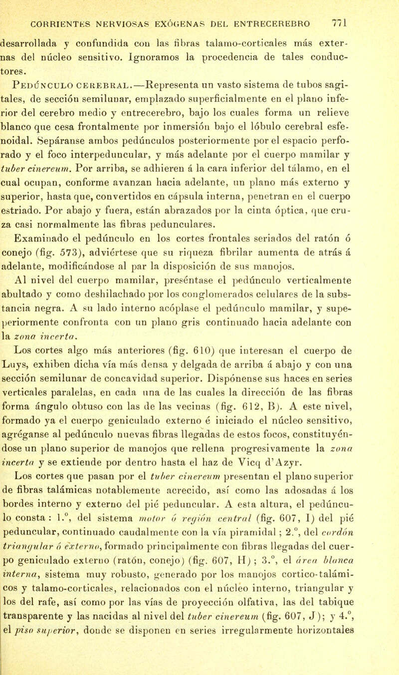 desarrollada y confundida con las fibras talamo-corticales mas exter- nas del nucleo sensitivo. Ignoramos la procedencia de tales conduc- tores. PEDrfNCULO cerebral.—Representa un vasto sistema de tubos sagi- tales, de secciou semilunar, emplazado superficialmente en el piano infe- rior del cerebro medio y entrecerebro, bajo los cuales forma un relieve bianco que cesa frontalmente por inmersion bajo el lobulo cerebral esfe- noidal. Separanse ambos pedunculos posteriormente por el espacio perfo- rado y el foco interpeduncular, y mas adelante por el cuerpo mamilar y tuber cinereum. Por arriba, se adhieren a la cara inferior del talamo, en el cual ocupan, conforme avanzan hacia adelante, un piano mas externo y superior, hastaque, convertidos en capsula interna, penetran en el cuerpo estriado. Por abajo y fuera, estan abrazados por la cinta optica, que cru- za casi normalmente las fibras pedunculares. Examinado el pedunculo en los cortes frontales seriados del raton 6 conejo (fig. 573), adviertese que su riqueza fibrilar aumenta de atras a adelante, modificandose al par la disposicion de sus manojos. Al nivel del cuerpo mamilar, presentase el pedunculo verticalmente abultado y como deshilachado por los conglomerados celulares de la subs- tancia negra. A su lado interno acoplase el pedunculo mamilar, y supe- periormente confronta con un piano gris continuado hacia adelante con la zona inceria, Los cortes algo mas anteriores (fig. 610) que interesan el cuerpo de Luys, exhiben dicha via mas densa y delgada de arriba a abajo y con una seccion semilunar de concavidad superior. Disponense sus haces en series verticales paralelas, en cada una de las cuales la direccion de las fibras forma angulo obtuso con las de las vecinas (fig. 612, B). A este nivel, formado ya el cuerpo geniculado externo e iuiciado el nucleo sensitivo, agreganse al pedunculo nuevas fibras llegadas de estos focos, constituyen- dose un piano superior de manojos que rellena progresivamente la zona incerta y se extiende por dentro hasta el haz de Vicq d'Azyr. Los cortes que pasan por el tuber cinereum presentan el piano superior de fibras talamicas notablemente acrecido, asi como las adosadas a los bordes interno y externo del pie peduncular. A esta altura, el peduncu- lo consta : 1.°, del sistema motor o region central (fig. 607, I) del pie peduncular, continuado caudalmente con la via piramidal ; 2.°, del cordon triangular 6 externo, formado principalmente con fibras llegadas del cuer- po geniculado externo (raton, conejo) (fig. 607, H) ; 3.°, el area blanca interna, sistema muy robusto, generado por los manojos cortico-talami- cos y talamo-corticales, relacionados con el nucleo interno, triangular y los del rafe, asi como por las vias de proyeccion olfativa, las del tabique transparente y las nacidas al nivel del tuber cinereum (fig. 607, J); y 4.°, el piso superior, doude se disponen en series irregularmente horizontales