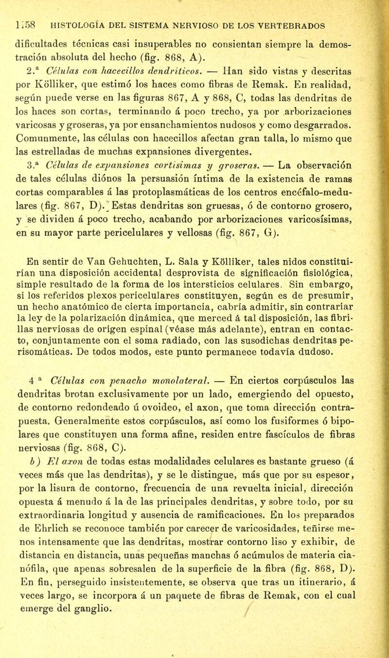 dificultades tecnicas casi insuperables no cousientan siempre la demos- tracion absoluta del hecho (fig. 868, A). 2. a Celulas con hacecillos dendriticos. — Han sido vistas y descritas por Kolliker, que estimo los haces como fibras de Remak. En realidad, segun puede verse en las figuras 867, A y 868, C, todas las dendritas de los haces son cortas, terminando a poco trecho, ya por arborizaciones varicosas y groseras, ya por ensanchamientos nudosos y como desgarrados. Comunmente, las celulas con hacecillos afectan gran talla, lo mismo que las estrelladas de muchas expansiones divergentes. 3. a Celulas de expansiones cortisimas y groseras. — La observacion de tales celulas dionos la persuasion intima de la existencia de ramas cortas comparables a las protoplasmaticas de los centros encefalo-medu- lares (fig. 867, D).]Estas dendritas son gruesas, 6 de contorno grosero, y se dividen a poco trecho, acabando por arborizaciones varicosisimas, en su mayor parte pericelulares y vellosas (fig. 867, G). En sentir de Van Gehuchten, L. Sala y Kolliker, tales nidos constitui- rian una disposicion accidental desprovista de significacion fisiologica, simple resultado de la forma de los intersticios celulares. Sin embargo, si los referidos plexos pericelulares constituyen, segun es de presumir, un hecho anatomico de cierta importancia, cabria admitir, sin contrariar la ley de la polarizacion dinamica, que merced a tal disposicion, las fibri- lias nerviosas de origen espinal (vease mas adelante), entran en contac- to, conjuntamente con el soma radiado, con las susodichas dendritas pe- risomatioas. De todos modos, este punto permanece todavia dudoso. 4 a Celulas con penacho monolateral. — En ciertos corpusculos las dendritas brotan exclusivamente por un lado, emergiendo del opuesto, de contorno redondeado u ovoideo, el axon, que toma direccion contra- puesta. Generalmente estos corpusculos, asi como los fusiformes 6 bipo- lares que constituyen una forma afine, residen entre fasciculos de fibras nerviosas (fig. 868, C). b) FA axon de todas estas modalidades celulares es bastante grueso (a veces mas que las dendritas), y se le distingue, mas que por su espesor, por la lisura de contorno, frecuencia de una revuelta inicial, direccion opuesta a menudo a la de las principales dendritas, y sobre todo, por su extraordinaria longitud y ausencia de ramificaciones. En los preparados de Ehrlich se reconoce tambien por carecer de varicosidades, tenirse rae- nos intensamente que las dendritas, mostrar contorno liso y exhibir, de distancia en distaucia, unas pequenas maochas 6 acumulos de materia cia- nofila, que apenas sobresalen de la superficie de la fibra (fig. 868, D). En fin, perseguido insistentemente, se observa que tras un itiuerario, a veces largo, se incorpora a un paquete de fibras de Remak, con el cual emerge del ganglio.