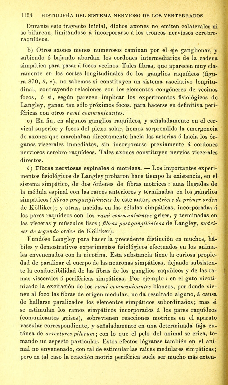 Durante este trayeoto inicial, dichos axones no emiten colaterales ni se bifurcan, limitandose a incorporarse a los troncos nerviosos cerebro- raquideos. b) Otros axones menos numerosos caminan por el eje ganglionar, y subiendo 6 bajando abordan los cordones intermediarios de la cadena simpatica para pasar a focos vecinos. Tales fibras, que aparecen muy cla- ramente en los cortes longitudinales de los ganglios raquideos (figu- ra 870, bf c), no sabenios si constituyen un sistema asociativo longitu- dinal, contrayendo relaciones con los elementos congeneres de vecinos focos, 6 si, segun parecen implicar los experimentos fisiologicos de Langley, ganan tan solo proximos focos, para hacerse en definitiva peri- fericas con otros rami communicantes. c) En fin, en algunos ganglios raquideos, y senaladamente en el cer- vical superior y focos del plexo solar, hemos sorprendido la emergencia de axones que marchaban directamente hacia las arterias 6 hacia los 6r- ganos viscerales inmediatos, sin incorporarse previamente a cordones nerviosos cerebro raquideos. Tales axones constituyen nervios viscerales directos. b) Fibras nerviosas espinales 6 motrices. — Los importantes experi- mentos fisiologicos de Langley probaron hace tiempo la existencia, en el sistema simpatico, de dos ordenes de fibras motrices : unas llegadas de la medula espinal con las raices anteriores y terminadas en los ganglios simpaticos {fibras preganglionicas de este autor, motrices de primer orden de Kolliker); y otras, nacidas en las celulas simpaticas, incorporadas a los pares raquideos con los rami communicantes grises, y terminadas en las visceras y musculos lisos (fibras post ganglionicas de Langley, motri- ces de segundo orden de Kolliker). Fundose Langley para hacer la precedente distincion en muchos, ha- biles y demostrativos experimentos fisiologicos efectuados en los anima- tes envenenados con la nicotina. Esta substancia tiene la curiosa propie- dad de paralizar el cuerpo de las neuronas simpaticas, dejando subsisten- te la conductibilidad de las fibras de los ganglios raquideos y de las ra- [ mas viscerales 6 perifericas simpaticas. Por ejemplo : en el gato nicoti- nizado la excitacion de los rami communicantes blancos, por donde vie- nen al foco las fibras de origen medular, no da resultado alguno, a causa de hallarse paralizados los elementos simpaticos subordinados; mas si se estimulan los ramos simpaticos incorporados a los pares raquideos (comunicantes grises), sobrevienen reacciones motrices en el aparato vascular correspondiente, y senaladamente en una determinada faja cu- tanea de arrectores pilorum ; con lo que el pelo del animal se eriza, to- mando un aspecto particular. Estos efectos logranse tambien en el ani- mal no envenenado, con tal de estimularlas raices medulares simpaticas; pero en tal caso la reaccion motriz periferica suele ser mucho mas exten-