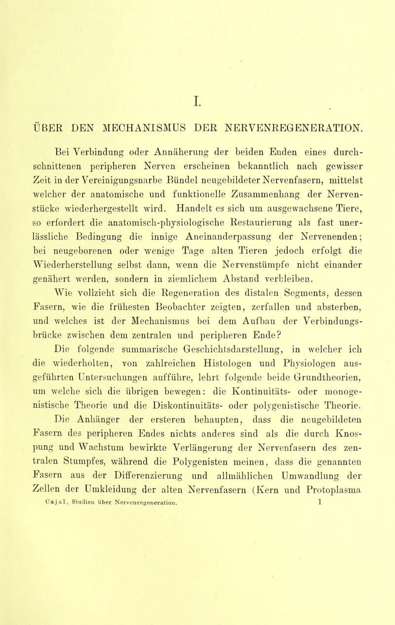 UBER DEN MECHANISMUS DER NERVENREGENERATION. Bei Verbindung oder Annaberung der beiden Euden eines durcb- scbnittenen peripberen Nerven erscbeinen bekanntlicb nacb gewisser Zeit in der Vereinigungsnarbe Biindel neugebildeter Nervenfasern, mittelst welcber der anatomiscbe und funktionelle Zusammenbang der Nerven- stiicke wiederbergestellt wird. Handelt es sicb urn ausgewacbsene Tiere, so erfordert die anatomiscb-pbysiologiscbe Restaurierung als fast uner- lasslicbe Bedingung die innige Aneinanderpassung der Nervenenden; bei neugeborenen oder wenige Tage alten Tieren jedocb erfolgt die Wiederberstellung selbst dann, wenn die Nervenstiimpfe nicbt einander genabert werden, sondera in ziernlicbem Abstand verbleiben. Wie vollziebt sicb die Regeneration des distalen Segments, dessen Fasern, wie die friibesten Beobacbter zeigten, zerfallen und absterben, und welcbes ist der Mecbanismus bei dem Aufbau der Verbindungs- briicke zvviseben dem zentralen und peripberen Ende? Die folgende summariscbe Gescbicbtsdarstellung, in welcber icb die wiederbolten, von zablreicben Histologen und Pbysiologen aus- gefiibrten Untersucbungen auffiibre, lebrt folgende beide Grundtbeorien, um welcbe sicb die iibrigen bewegen: die Kontinuitats- oder monoge- nistiscbe Theorie und die Diskontinuitats- oder polygenistiscbe Tbeorie. Die Anbanger der ersteren bebaupten, dass die neugebildeten Fasern des peripberen Endes nicbts anderes sind als die durcb Knos- pung und Wacbstum bewirkte Verlangerung der Nervenfasern des zen- tralen Stumpfes, wabrend die Polygenisten meinen, dass die genannten Fasern aus der Differenzierung und allmablicben Umwandlung der Zellen der Umkleidung der alten Nervenfasern (Kern und Protoplasma Cajal, Studieu iiber Nerveuregeneration. 1