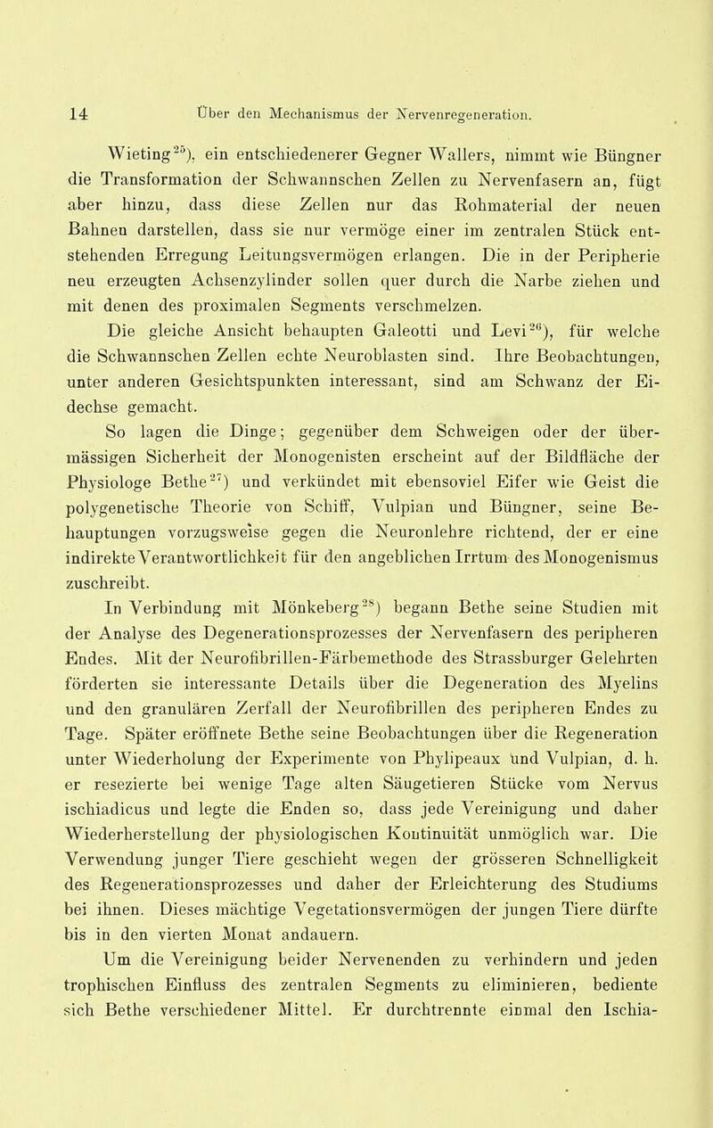 Wieting20), ein entschiedenerer Gegner Wallers, nimint wie Biingner die Transformation der Schwannschen Zellen zu Nervenfasern an, fiigt aber hinzu, dass diese Zellen nur das Rohmaterial der neuen Bahnen darstellen, dass sie nur vermoge einer im zentralen Stiick ent- stehenden Erregung Leitungsvermogen erlangen. Die in der Peripherie neu erzeugten Achsenzylinder sollen quer durch die Narbe ziehen und mit denen des proximalen Segments verschmelzen. Die gleiche Ansicht behaupten Galeotti und Levi20), fur welche die Schwannschen Zellen echte Neuroblasten sind. Ihre Beobachtungen, unter anderen Gesichtspunkten interessant, sind am Schwanz der Ei- dechse gemacht. So lagen die Dinge; gegeniiber dem Schweigen oder der iiber- massigen Sicherheit der Monogenisten erscheint auf der Bildflache der Physiologe Bethe27) und verkiindet mit ebensoviel Eifer wie Geist die polygenetische Theorie von Schiff, Yulpian und Biingner, seine Be- hauptungen vorzugsweise gegen die Neuronlehre richtend, der er eine indirekteVerantwortlichkeit fiir den angeblichen Irrtum des Monogenismus zuschreibt. In Verbindung mit Monkeberg28) begann Bethe seine Studien mit der Analyse des Degenerationsprozesses der Nervenfasern des peripheren Endes. Mit der Neurofibrillen-Earbemethode des Strassburger Gelehrteu forderten sie interessante Details iiber die Degeneration des Myelins und den granularen Zerfall der Neurofibrillen des peripheren Endes zu Tage. Spater eroffnete Bethe seine Beobachtungen iiber die Regeneration unter Wiederholung der Experimente von Phylipeaux und Vulpian, d. h. er resezierte bei wenige Tage alten Saugetieren Stiicke vom Nervus ischiadicus und legte die Enden so, dass jede Vereinigung und daher Wiederherstellung der physiologischen Koutinuitat unmoglich war. Die Verwendung junger Tiere geschieht wegen der grosseren Schnelligkeit des Regenerationsprozesses und daher der Erleichterung des Studiums bei ihnen. Dieses machtige Vegetationsvermogen der jungen Tiere diirfte bis in den vierten Monat andauern. Um die Vereinigung beider Nervenenden zu verhindern und jeden trophischen Einfluss des zentralen Segments zu eliminieren, bediente sich Bethe verschiedener Mittel. Er durchtrennte eiDmal den Ischia-