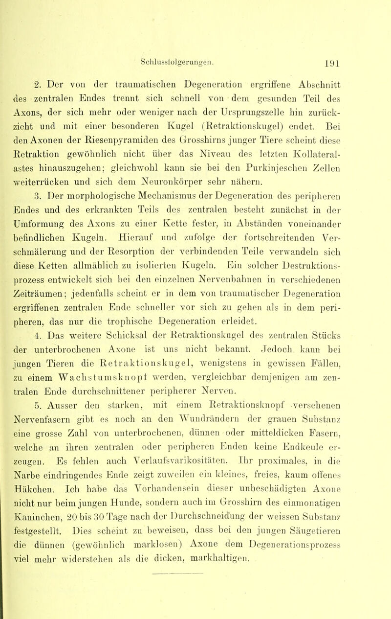 2. Der von der trauniatischen Degeneration ergriffcne Abschnitt des zentralen Endes trennt sich schnell von dem gesnnden Teil des Axons, der sich mehr oder weniger nach der Ursprungszelle hin zuriick- zicht und mit einer besonderen Kugel (Retraktionskugel) endet. Bei den Axonen der Riesenpyramiden des Grosshirns junger Tiere scbeint diese Retraktion gewohnlich nicbt liber das Niveau des letzten Kollateral- astes hiuauszugehen; gleichwohl kann sie bei den Purkinjescben Zellen weiterriicken und sicb dem Neuronkorper sehr nahern. 3. Der rnorphologische Mechanismus der Degeneration des peripkeren Endes und des erkrankten Teils des zentralen besteht zunacbst in der Umforraung des Axons zu einer Kette fester, in Abstauden voneinander benndlichen Kugeln. Hierauf und zufolge der fortschreitenden Ver- schrnalerung und der Resorption der verbindenden Teile verwandeln sich diese Ketten allmahlich zu isolierten Kugeln. Ein solcher Destruktions- prozess entwickelt sich bei den einzelnen Nervenbahnen in verschiedenen Zeitraumen; jedenfalls scheint er in dem von traumatischer Degeneration ergriffenen zentralen Ende schneller vor sich zu gehen als in dem peri- pheren, das nur die trophische Degeneration erleidet. 4. Das weitere Schicksal der Retraktionskugel des zentralen Stiicks der unterbrochenen Axone ist uns nicht bekanut, Jedoch kann bei jungen Tieren die Retraktionskugel, wenigstens in gewissen Fallen, zu einem Wachstumsknopt werden. vergleichbar demjenigen am zen- tralen Ende durchschnittener peripherer Nerven. 5. Ausser den starken, mit einem Retraktionsknopf versehenen Nervenfasern gibt es noch an den Wuudrandern der grauen Substanz eine grosse Zahl von unterbrochenen, diinnen oder mitteldicken Fasern, welche an ihren zentralen oder peripheren Enden keine Endkeule er- zeugen. Es fehlen auch Verlaufsvarikositaten. Ihr proximales. in die Narbe eindringendes Ende zeigt zuweilen ein kleines, freies, kaum offenes Hakchen. Ich habe das Vorhandensein clieser unbeschadigten Axone nicht nur beim jungen Hunde, sondern auch im Grosshirn des einmonatigen Kaninchen, 20 bis 30 Tage nach der Durchschneidung der weissen Substanz festgestellt. Dies scheint zu beweisen. dass bei den jungen Saugetieren die diinnen (gewohnlich marklosen) Axone dem Degenerationsprozess viel mehr widerstehen als die dicken, markhaltigen.