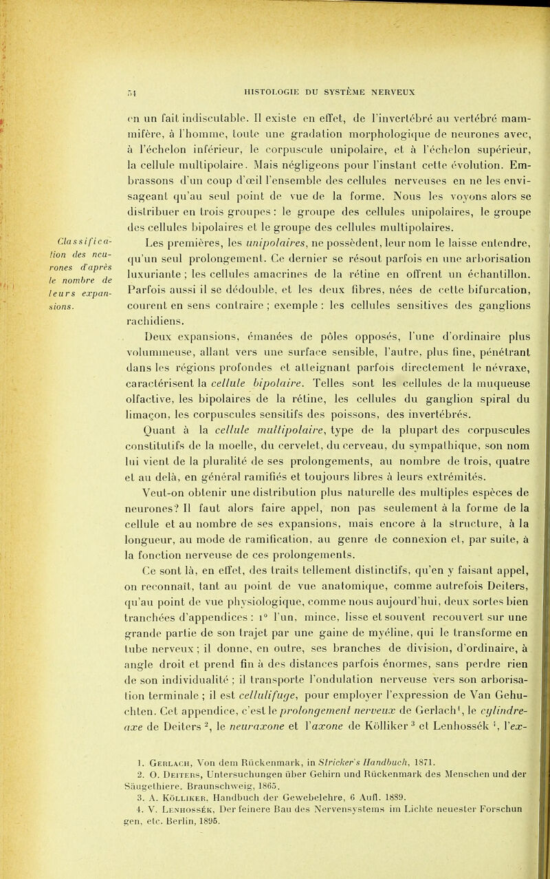 Classifica- tion des neu- rones d'apres le nombre de leurs expan- sions. en un fait indiscutable. II existe en effet, de 1'invertebre au vert6bre mam- mifere, a l'homme, toute une gradation morphologique de neurones avec, a l'echelon inferieur, le corpuscule unipolaire, et a l'echelon superieur, la cellule multipolaire. Mais negligeons pour l'instant cette evolution. Em- brassons d'un coup d'oeil l'ensemble des cellules nerveuses en ne les envi- sageant qu'au seul point de vue de la forme. Nous les voyons alors se distribuer en trois groupes : le groupe des cellules unipolaires, le groupe des cellules bipolaires et le groupe des cellules multipolaires. Les premieres, les unipolaires, ne possedent, leur nom le laisse entendre, qu'un seul prolongement. Ce dernier se resout parfois en une arborisation luxuriante; les cellules amacrines de la retine en offrent un echantillon. Parfois aussi il se dedouble. et les deux fibres, nees de cette bifurcation, courent en sens conlraire ; exemple : les cellules sensitives des ganglions rachidiens. Deux expansions, eman6es de poles opposes, l'une d'ordinaire plus volummeuse, allant vers une surface sensible, l'autre, plus fine, penetrant dans les regions profondes et atteignant parfois directement le n^vraxe, caraclerisent la cellule bipolaire. Telles sont les cellules de la muqueuse olfactive, les bipolaires de la retine, les cellules du ganglion spiral du limacon, les corpuscules sensitifs des poissons, des invertebres. Quant a la cellule multipolaire, type de la plupart des corpuscules constitutifs de la moelle, du cervelet, du cerveau, du sympathique, son nom Ini vient de la pluralite de ses prolongements, au nombre de trois, quatre et au dela, en general ramifies et toujours fibres a leurs extremites. Veut-on obtenir une distribution plus naturelle des multiples especes de neurones? II faut alors faire appel, non pas seulement a la forme de la cellule et au nombre de ses expansions, mais encore a la structure, a la longueur, au mode de ramification, au genre de connexion et, par suite, a la fonction nerveuse de ces prolongements. Ce sont la, en effet, des traits tellement dislinctifs, qu'en y faisant appel, on reconnait, tant au point de vue anatomique, comme autrefois Deiters, qu'au point de vue physiologique, comme nous aujourd'hui, deux sortes bien tranchees d'appendices : i° Tun, mince, lisse et souvent recouvert sur une grande partie de son trajet par une gaine de myeline, qui le transforme en tube nerveux; il donne, en outre, ses branches de division, d'ordinaire, a angle droit et prend fin a des distances parfois enormes, sans perdre rien de son individuality; il transporte l'ondulation nerveuse vers son arborisa- tion terminate ; il est cellulifuge, pour employer l'expression de Van Gehu- chten. Cet appendice, c'eslle prolongement nerveux de Gerlach1, le ci/lindre- axe de Deiters2, le neuraxone et Yaxone de Kolliker 3 et Lenhossek Yex- 1. Gerlach, Von dem Riickenmark, in Strieker s Handhuch, 1871. 2. O. Deiters, Untersuchungen iiber Gehirn und Riickenmark des Menschen und der Saugethiere. Braunschweig, 1865. 3. A. Kolliker, Handbuch der Gewebelehre, 6 Aufl. 1889. i. V. Lenhossek, Der feinere Bau des Nervensystems im Lichte neuester Forschun gen, etc. Berlin, 1896.