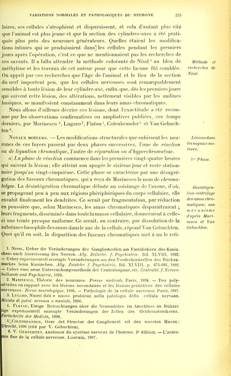 laires, ses cellules s'atrophient et disparaissent, et cela d'aulant plus vile que 1'animal est plus jeune el que la section des cylindres-axes a ete prati- quee plus pres des neurones generateurs. Quelles etaient les modifica- tions intimes qui se produisaient dans] les cellules pendant les premiers jours apres l'operalion, c'est ce que ne mentionnaient pas les recherches de ces savants. II a fallu attendre la methode colorante de Nissl 1 au bleu de methylene et les travaux de cet auteur pour que cette lacune fut combine. On apprit par ces recherches que l'age de l'animal et le lieu de la section du nerf import enl peu, que les cellules nerveuses sont remarquablement sensibles a toule lesion de leur cylindre-axe, enfin,que, des les premiers jours qui suivent cette lesion, des alterations, nettement visibles par les anilines basiques, se manifestent constamment dans leurs amas chromatiques. Nous allons d'ailleurs decrire ces lesions, dont l'exactitude a ete recon- nue par les observations confirmatives ou ampliatives publiees, ces temps derniers, par Marinesco 2, Lugaro3, Flatau '', Colenbrander3 et Van Gehuch- ten e. Noyaux moteurs. — Les modifications structurales que subissentles neu- rones de ces foyers passent par deux phases successives, Tune de reaction ou de liquation chromatique, Tautre de reparation on ahyperchromatose. a) La phase de reaction commence dans les premieres vingt-quatre heures qui suivent la lesion; elle atteint son apogee le sixiemejour et reste station- naire jusqu'au vingt-cinquieme. Cette phase se caracterise par une desagr6- gation des fuseaux chromatiques, qui a recu de Marinesco le nom de chroma- tolyse. La disintegration chromatique debute au voisinage de l'axone, d'oii, se propageant peu a peu aux regions pheripheriques du corps cellulaire, elle envahit finaleinent les dendrites. Ce serait par fragmentation, par reduction en poussiere que, selon Marinesco, les amas chromatiques disparaitraient ; leurs fragments, dissemines dans loutelamasse cellulaire, donneraient a celle- ei une teinte presque uniforme.Ce serait, au contraire, par dissolut ion de la substance basophile des amas dansle sue de la cellule, repond Van Gehuchten. Quoi qu'il en soit, la disparition des fuseaux chromatiques met a nu le reti- Methode et recherches de Nissl. Les ions dans les noyaux mo- teurs. 1 Phase. Disintegra- tion centrifuge des amas chro- matiques; son m e c a nisme d'apres Mari- nesco et Van Gehuchten. 1. Nissl, Ueber die Veranderungen der Ganglienzellen am Facialiskern des Kanin- chens nach Ausreissung des Nerven. Allg. Zeitschr. f. Psychiatrie, Bd. XLVIII, 1892. — Ueber experimentell erzeugte Veranderungen am den Vorderhornzellen des Riicken- markes beim Kaninchen. Allg. Zeislchr. f. Psychiatrie, Bd. XLVIII, p. 675-681, 1892. — Ueber eine neue Untersuchungsmethode der Centralorgane, etc. Centralbl. f.Nerven- heilkunde und Psychiatrie, 1891. 2. Marinesco, Theorie des neurones. Presse medicate, Paris, 1894. — Des poly- nevrites en rapport avec les lesions secondaires et les lesions primitives des cellules nerveuses. Revue neurologique, 1896. — Pathologie de la cellule nerveuse. Paris, 1897. 3. Lugaro, Nuovi dati e nuovi problemi nella patologia della cellula nervosa. Rivista di patol. nervosa e mentale, 1896. 1. Flatau, Einige Betracbtungen iiber die Neuronlebre im Anschluss an friihzei- tige experimentell erzeugte Veranderungen der Zellen des Oculomotorskerns. Fortschritte der Medizin, 1896. 5AColenbrander, Over det Structur der Gangliencel nit den worsten Hoorn; Utrecht, 1896 (cite par V. Gehuchten). 6. V. Gehuchten, Anatomie du systeme nerveux de l'homme. 2 Edition. — L'anato- mie fine de la cellule nerveuse. Louvain, 1897.