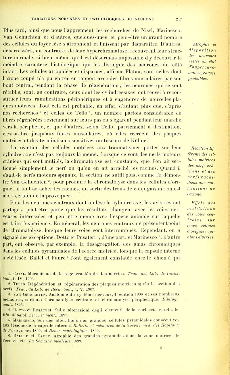 Plus lard, ainsi que nous l'apprennent les recherches de Nissl, Marinesco, Van Gehuchten et d'autres, quelques-unes et peut-etre un grand nombre des cellules du foyer lese s'atrophient et finissent par disparaitre. D'autres, debarrassees, au contraire, de leur hyperehromalose, recouvrent leur struc- ture normale, si bien meme qu'il est desormais impossible d'y decouvrir le moindre caractere hislologique qui les distingue des neurones du cote intact. Les cellules alrophiees el disparues, affirme Flatau, sont cedes dont l'axone coupe n'a pu entrer en rapport avec des fibres musculaires par son bout central, pendant la pbase de regeneration ; les neurones, qui se sont retablis, soul, au contraire, ceux dont les cylindres-axes out reussi a recon- stituer leurs ramifications peripheriques et a engendrer de nouvelles pla- ques molrices. Tout cela est probable, en effet, d'autant plus que, d'apres nos recherches1 et cedes de Tello'-, un nombre parfois considerable de fibres regenerees reviennent sur leurs pas ou s'egarent pendant leur marche vers la p6ripherie, et que d'autres, selon Tello, parviennent a destination, c'est-a-dire jusqu'aux fibres musculaires, oil elles recreent des plaques motrices el des terminaisons sensitives ou fuseaux de Kiihne. La reaction des cellules motrices aux traumatismes portes sur leur cylindre-axe n'est pas loujours la meme. Lorsque ce sont des nerfs moteurs craniens qui sont mutiles, la chromatolyse est constante, que Ton ait sec- tionne simplement le nerf ou qu'on en ait arrache les racines. Quand il s'agit de nerfs moteurs spinaux, la section ne suffilplus, comme l'a demon- tre Van Gehuchten3, pour produire la chromatolyse dans les cellules d'ori- gine ; il faut arracher les racines, au sortir des trous de conjugaison ; on est alors certain de la provoquer. Pour les neurones centraux dont on lese le cylindre-axe, les avis restent partag6s, peut-etre parce que les resultats changent avec les voies ner- veuses inte>essees et peut-etre meme avec l'espece animale sur laquelle est faite Texperience. En general, les neurones centraux ne presentent point de chromatolyse, lorsque leurs voies sont inlerrompues. Cependant, on a signale des exceptions. Dotto et Pusateri ', (runepart, et Marinesco :i, d'autre part, ont observe, par exemple, la desagregation des amas chromatiques dans les cellules pyramidales de l'ecorce motrice, lorsque la capsule interne a ete lesee. Ballet et Faure 6 l'ont egalement constatee chez le chien a qui Atrophie et disparit ion des neurones reslis en elat d'hyperchro- matose; causes probables. Reaction dif- firente des cel- lules motrices des nerfs crd- niens et des nerfs rachi- diens aux mu- tilations de l'axone. Effeis des mutilations des voies cen- trales sur leurs cellules d'origine; opi- nions diverses. 1. Cajal, Mecanismo de la regeneracion de los nervios. Trab. del Lab. de Invest. Uol., t. IV, 1905. 2. Tello, Degeneration et regeneration des plaques motrices apres la section des nerfs. Trav. du Lab. de Rech. biol., t. V, 1907. 3. Van Gehuchten, Anatomie du systeme nerveux, 4° edition 1906 et ses nombreux memoires, surlout: Chromatolyse centrale et chromatolyse peripherique. Bibliogr. anal.. 1896. 4. Dotto et Pusateri, Sulle alterazioni degli elementi della corteccia cerebrale. Riv. dipatol. nerv. el ment., 1897. 5. Marinesco, Sur des alterations des grandes cellules pyramidales consecutives aux lesions de la capsule-interne. Bulletin et memoires de la Societe med. des Hdpitaux de Paris, mars 1899, et Revue neurologique, 1899. 6. Ballet et Faure, Atrophie des grandes pyramides dans la zone motrice de l'ecorce, etc. La Semaine medicate, 1899. 24