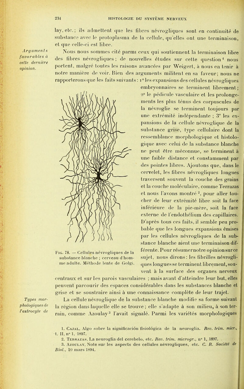 Argument s favorables a cette derniere opinion. Types mor- phologiques de Fastrocyte de lay, etc.; ils admettent que les fibres n6vrogliques sont en continuity de substance avec le pro to plasma de la cellule, qu'elles onl une terminaison, et que celle-ci est libre. Nous nous sommes cite parmi ceux qui soutiennent la terminaison libre des fibres nevrogliques ; de nouvelles etudes sur cette question1 nous portent, malgre toutes les raisons avanc^es par Weigert, a nous en tenir a notre maniere de voir. Bien des arguments militent en sa faveur; nous ne rapporlerons que les fails suivants: 10 les expansions des cellules n6vrogliques embryonnaires se terminent librement; 2° le pedicule vasculaire et les prolonge- ments les plus tenus des corpuscules de la nevroglie se terminent toujours par une extremite independanle ; 3° les ex- pansions de la cellule nevroglique de la substance grise, type cellulaire dont la ressemblance morphologique et histolo- gique avec celui de la substance blanche ne peut etre meconnue, se terminent a une faible distance et constamment par des pointes libres. Ajoutons que, dans le cervelet, les fibres nevrogliques longues traversent souvent la couche des grains et la couche moleculaire, comme Terrazas et nous l'avons montre 2, pour aller tou- cher de leur extremite libre soil la face inferieure de la pie-mere, soit la face externe de l'endothelium des capillaires. D'apres tous ces faits, il semble peu pro- bable que les longues expansions emises par les cellules nevrogliques de la sub- stance blanche aient une terminaison dif- ferente. Pour resumernotre opinionsurce sujet, nous dirons: les fibrilles nevrogli- ques longues se terminent librement, sou- vent a la surface des organes nerveux centraux et sur les parois vasculaires ; maisavant d'atteindre leur but, elles peuvent parcourir des espaces consid6rables dans les substances blanche et grise et se soustraire ainsi a une connaissance complete de leur trajet. La cellule nevroglique de la substance blanche modifie sa forme suivanl la region dans laquelle elle se trouve; elle s'adapte a son milieu, a son ter- rain, comme Azoulay3 favait signale. Parmi les vari6tes morphologiques Fig. 78. — Cellules nevrogliques de la substance blanche ; cerveau d'hom- me adulte. Methode lente de Golei. 1. Cajal, Algo sobre la signi(icaci6n fisiologica de la neuroglia. Reu. trim, m/cr., t. II, n° 1, 1897. 2. Terrazas, La neuroglia del cerebelo, etc. Rev. trim, microgr., n° 1, .1897. . 3. Azoulay, Note sur les aspects des cellules nevrogliques, etc. C. R. Sociite de Biol., 10 mars 1894.