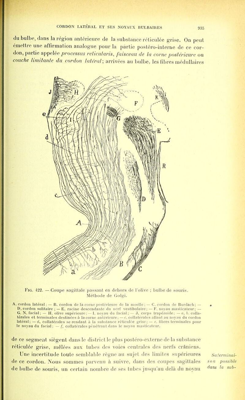 du bulbe, dans la region ante>ieure de la substance reticulee grise. On pout emettre une affirmation analogue pour la partie postero-interne de ce cor- don, partie appel6e processus reticularis, faisceau de la come posterieure ou couche limilante du cordon lateral; arrivees au bulbe, les fibres medullaires Fig. 422. — Coupe sagittate passant en dehors de l'olive ; bulbe de souris. Mel bode de Golgi. A, cordon lateral; — B, cordon de la corne posterieure de la moelle; — C. cordon de Burdach; — • D, cordon solitaire ; — E, racine descendante du nerf vestibulaire; — F, noyau masticateur; — G, N, facial; — H, olive superieure; — I, noyau du facial; — J, corps trapezoide; —a, 6. colla- terals et terminates destinees a la corne anlerieure; — c, collaterales allant au noyau du cordon lateral; —J, collaterales se rendant a la substance reticulee grise; — e, fibres terminates pour le noyau du facial; — f, collaterales penetrant dans le noyau masticateur. de ce segment siegent dans le district le plus postero-externc de la substance reticulre grise, melees aux tubes des voies centrales des nerfs craniens. Une incertitude toute semblable regne au sujet des limiles superieures Saterminai- de ce cordon. Nous sommes parvenu a suivre, dans des coupes sagittales son possible de bulbe de souris, un certain nombre de ses tubes jusqu'au dela du noyau dans la sub~