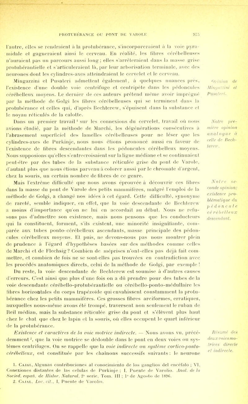 l'autre, elles se rendraient a la protuberance, s'incorporeraient a la voie pyra- midale et gagncraient ainsi le cervcau. En rcalite, les fibres eerebelleuses n'auraicnt pas uti parcours aussi long; elles s'arreteraient dans la masse grise protuberantielle et s'articuleraient la, par leur arborisation terniinale, avec des neurones dont les cylindres-axes atteindraient le cervelet et le cerveau. Mingazzini et Pusateri admettent egalement, a quelques nuances pres, l'existence dune double voie centrifuge et centripete dans les p^doncules cerebelleux moyens. Le dernier de ces auteurs pretend meme avoir impregne par la methode de Golgi les fibres eerebelleuses qui se terminent dans la protuberance et celles qui, d'apres Bechtcrew, s'epuisent dans la substance el le noyau reticules de la calotte. Dans mi premier travail 1 sur les connexions du cervelet, travail ou nous avions etudie, par la methode de Marchi, les degenerations consecutives a I'abrasement superficiel des lamelles eerebelleuses pour ne Ieser que les cylindres-axes de Purkinje, nous nous etions prononce aussi en faveur de l'existence de fibres descendantes dans les pedoncules cerebelleux moyens. Nous supposions qu'elles s'entrecroisaient sur la ligne mediane et se continuaient peut-etrc |>ar des tubes de la substance reticulee grise du pont de Varole, d'autant plus que nous etions parvenu a colorer aussi par le chromate d'argent, chez la souris, un certain nombre de fibres de ce genre. Mais l'extreme difficulty que nous avons eprouvee a decouvrir ces fibres dans la masse du pont de Varole des petits mammiferes, malgre l'emploi de la methode de Golgi, a change nos idees a cet egard. Cette difficulty, synonyme de rarete, semble indiquer, en effet, que la voie descendante de Bechtcrew a moins d'importance qu'on nc lui en accordait au debut. Nous ne refu- sons pas d'admetlre son existence, mais nous pensons que les conducteurs qui la constituent, torment, s'ils existent, unc minorite insignifiante, com- pare aux tubes ponto-cerebelleux ascendants, masse principale des pedon- cules cerebelleux moyens. Et puis, ne devons-nous pas nous montrer plein de prudence a legard d'hypotheses basees sur des methodes comme celles de Marchi et de Flechsig? Combien de meprises n'ont-elles pas deja fait com- mettre, et combien de fois ne se sont-elles pas trouvees en contradiction avec les procedes anatomiques directs, celui de la methode de Golgi, par exemple ! Du reste, la voie descendante de Bechterew est soumise a d'autres causes d'erreurs. C'est ainsi que plus d'une fois on a du prendre pour des tubes de la voie descendante cer<ibello-protuberantielle ou cerebello-ponto-medullaire les fibres horizontales du corps trapezoi'de qui envahissent constamment la protu- berance chez les petits mammiferes. Ces grosses fibres arciformes, erratiques, auxquelles nous-meme avons etc trompe, traversent non seulcment le ruban de Beil median, mais la substance reticulee grise du pont et s'elevent plus haut chez le chat que chez le lapin et la souris, ou elles occupent le quart inferieur de la protuberance. Existence el caracleres de la voie motrice indirecle. — Nous avons vu, prece- demment2, que la voie motrice se dedouble dans le pont en deux voies ou sys- temes centrifuges. On se rappelle que la voie indirecle ou sgsteme cortico-ponto- cerebelleux, est constitute par les chainons successifs suivants: le neurone Opinion de Mingazzini et Pusateri. Notre pre- miere opinion analogue a cede de Bech- terew. Notre se- conde opinion; existence pro- blematique du p e do n c ul e ce rebelleux descendant. Resume des deux rotes mo- trices direcle et indirecle. 1. Cajal, Algunas contribuciones al eonocimiento de los ganglios del encefalo ; VI, Conexiones distantes de las celulas de Purkinje ; I, Puente de Varolio. Anal, de la Socied. espan. de Jlislor. Natural, 2 scrie, Tom. Ill ; 1° de Agosto de 1896. 2. Cajal, Loc. cit., I, Puente de Varolio.