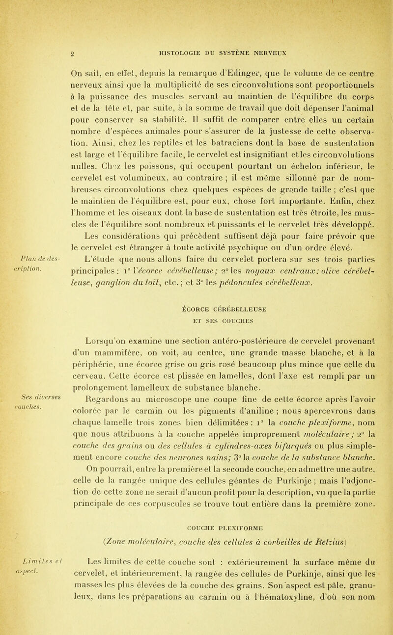 On sait, en effet, depuis la remarque d'Edinger, que le volume de ce centre nerveux ainsi que la multiplicity de ses circonvolutions sont proportionnels a la puissance des muscles servant au maintien de l'equilibre du corps et de la tete et, par suite, a la somnie de travail que doit depenser l'animal pour conserver sa stabilite. II suffit de comparer entre elles un certain nombre d'especes animales pour s'assurer de la justesse de cette observa- tion. Ainsi, chez les reptiles et les batraciens dont la base de sustentation est large et l'equilibre facile, le cervelet est insignifiant etles circonvolutions nulles. Choz les poissons, qui occupent pourtant un echelon inferieur, le cervelet est volumineux, au contraire ; il est raeme sillonne par de nom- breuses circonvolutions chez quelques especes de grande taille ; c'est que le maintien de l'equilibre est, pour eux, chose fort importante. Enfin, chez l'homme et les oiseaux dont la base de sustentation est tres etroite, les mus- cles de l'equilibre sont nombreux et puissants et le cervelet tres developpe. Les considerations qui precedent suffisent deja pour faire prevoir que le cervelet est etranger a toute activile psychique ou d'un ordre eleve\ Plan de des- L'etude que nous allons faire du cervelet portera sur ses trois parlies enption. principales : i° Ve'corce ce're'belleuse; 2° les noyaux cenlraux; olive ce're'bel- leuse, ganglion du loil, etc.; et 3° les pe'doncules cerebelleux. ECORCE CEREBELLEUSE ET SES COUCHES Lorsqu'on examine une section antero-posterieure de cervelet provenant d'un mammifere, on voit, au centre, une grande masse blanche, et a la peripheric, une 6corce grise ou gris rose beaucoup plus mince que celle du cerveau. Cette ecorce est pliss£e en lamelles, dont 1'axe est rempli par un prolongement lamelleux de substance blanche. Regardons au microscope une coupe fine de celle ecorce apres l'avoir coloree par le carmin ou les pigments d'aniline ; nous apercevrons dans chaque lamelle trois zones bien delimiters : i° la couche plexiforme, nom que nous attribuons a la couche appelee improprement moUculaire ; 2° la couche des grains ou des cellules a cylindres-axes bifurques ou plus simple- ment encore couche des neurones nains; 3° la couche de la substance blanche. On pourrait, entre la premiere el la seconde couche, en admettre une autre, celle de la rangde unique des cellules geantes de Purkinje; mais l'adjonc- tion de cette zone ne serait d'aucun profit pour la description, vu que la partie principale de ces corpuscules se trouve tout entiere dans la premiere zone. COUCHE PLEXIFORME (Zone mole'culaire, couche des cellules d corbeilles de Retzius) Limites et Les limites de cette couche sont : exterieurement la surface meme du 'Pect' cervelet, et interieurement, la rangee des cellules de Purkinje, ainsi que les masses les plus elevees de la couche des grains. Son aspect est pale, granu- leux, dans les preparations au carmin ou a Thematoxyline, d'oii son nom Ses diverges touches.