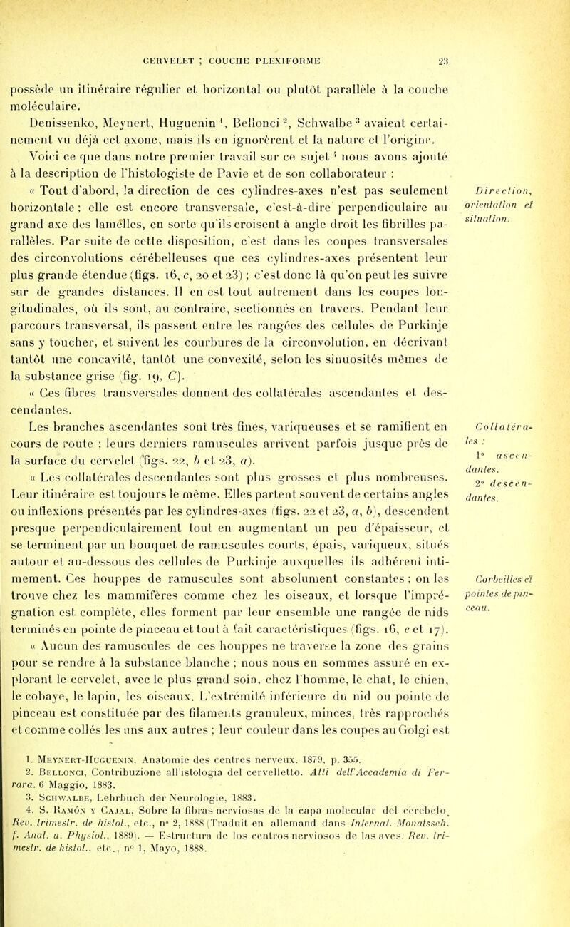 possede un itineraire regulier et horizontal ou plutot parallele a la couche moleculaire. Denissenko, Meynert, Huguenin Belionci2, Sehwalbe 3 avaient certai- nement vu deja cet axone, mais ils en ignorerent et la nature et 1'origine. Voici ce que dans notre premier travail sur ce sujet '• nous avons ajoute a la description tie L'histologiste de Pavie et de son collaborateur : « Tout d'abord, !a direction de ces cylindres-axes n'est pas seulement horizontale ; elle est encore transversale, c'est-a-dire perpendiculaire au grand axe des lamelles, en sorte qu'ils croisent a angle droit les fibrilles pa- ralleles. Par suite de cette disposition, c'est dans les coupes transversales des circonvolutions cerebelleuses que ces cylindres-axes presentent leur plus grande etendue (figs. 16, c, 20 et 2.3); c'est done la qu'on peut les suivre sur de grandes distances. II en est tout autrenient dans les coupes lon- gitudinales, oil ils sont, au contraire, sectionnes en travers. Pendant leur parcours transversal, ils passent entre les rangees des cellules de Purkinje sans y toucher, et suivent les courbures de la circonvolution, en decrivant tantot une concavite, tantot une convexile, selon les sinuosites meines de la substance grise (fig. 19, C). « Ces fibres transversales donnent des collaterales ascendantes et des- cendanles. Les branches ascendantes sont tres fines, variqueuses et se ramifient en cours de route ; leurs derniers ramuscules arrivent parfois jusque pres de la surface du cervelel ffigs. 22, b et 23, a). « Les collaterales descendantes sont plus grosses et plus nombreuses. Leur itineraire est toujours le meme. Elles partent souvent de certains angles ou inflexions presentes par les cylindres-axes (figs. 22 et 23, o, 6), descendent presque perpendiculairemcnt tout en augmentant un peu d'epaisseur, et se terminent par un bouquet de ramuscules courts, 6pais, variqueux, situes autour et au-dessous des cellules de Purkinje auxquelles ils adherent inti- mement. Ces houppes de ramuscules sont absolument conslantes ; on les trouve chez les mammiferes com me chez les oiseaux, et lorsque l'impre- gnation est complete, elles forment par leur ensemble une rangee de nids termines en pointe de pinceau et tout a fait caracteristiques (figs. 16, e et 17). « Aucun des ramuscules de ces houppes ne traverse la zone des grains pour se rendre a la substance blanche ; nous nous en sommes assure en ex- plorant le cervelet, avec le plus grand soin, chez Thornine, le chat, le chien, le cobaye, le lapin, les oiseaux. L'extremife inferieure du nid ou pointe de pinceau est constiluee par des filaments granuleux, mijices. tres rapproches et comme colles les nns aux autres ; leur couleur dans les coupes au Golgi est Direction, orientation el situation. Collatera- les : 1° ascen- dantes. 2° descen- dantes. Corbet I les el poinles de pin- ceau. 1. Meynert-Huguenin, Anatomie des centres nerveux. 1879, p. 355. 2. Bellonci, Contribuzione all'istologia del cervelletto. Alii dellAccademia di Fer- rara. 6 Maggio, 1883. 3. Schwalbe, Lelirbuch der Neurologie, 1883. 4. S. Ramon y Cajal, Sobre la fibras nerviosas de la capa molecular del cerebelo_ Rev. trimestr. de histol., etc., n° 2, 1888 (Traduit en allemand dans Internal. Monatssch. f. Anal. u. Physiol., 1889). — Estructura de los centros nerviosos de las aves. Rev. Iri- meslr. de liistol., etc., n° I, Mayo, 1888.