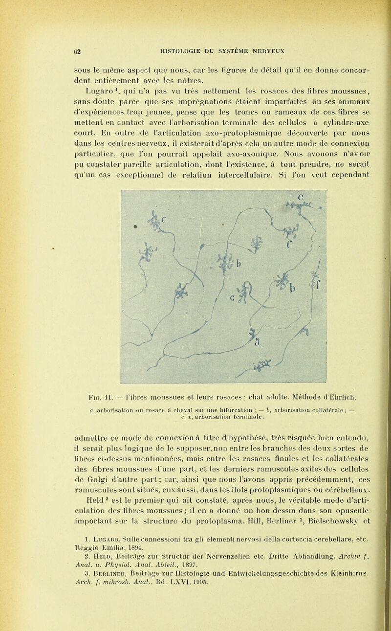 sous le meme aspect que nous, car les figures de detail qu'il en donne concor- dent entierement avec les notres. Lugaro 1, qui n'a pas vu tres nettement les rosaces des fibres moussues, sans doute parce que ses impregnations etaient imparfaites ou ses animaux d'exp^riences trop jeunes, pense que les troncs ou rameaux de ces fibres se mettent en contact avec l'arborisation terminale des cellules a cylindre-axe court. En outre de l'articulation axo-protoplasmique d6couverte par nous dans les centres nerveux, il existerait d'apres cela un autre mode de connexion particulier, que Ton pourrait appelait axo-axonique. Nous avouons n'avoir pu constater pareille articulation, dont l'existence, a tout prendre, ne serait qu'un cas exceptionnel de relation intercellulaire. Si Ton veut cependant Fig. 41. — Fibres moussues et leurs rosaces ; chat adulte. Methode d'Ehrlich. a, arborisation ou rosace a cheval sur une bifurcation ; — b, arborisation collaterale; — c, e, arborisation terminale. admettre ce mode de connexion a titre d'hypothese, tres risquee bien entendu, il serait plus logique de le supposer, non entre les branches des deux sortes de fibres ci-dessus mentionn^es, mais entre les rosaces finales et les collaterals des fibres moussues d'une part, et les derniers ramuscules axiles des cellules de Golgi d'autre part; car, ainsi que nous l'avons appris pr^c6demment, ces ramuscules sont situes, eux aussi, dans les llots protoplasmiques ou cerebelleux. Held 2 est le premier qui ait constats, apres nous, le veritable mode d'arti- culation des fibres moussues ; il en a donne un bon dessin dans son opuscule important sur la structure du protoplasma. Hill, Berliner 3, Bielschowsky et 1. Lugaro, Sulle connessioni tra gli elementi nervosi della corteccia cerebellare, etc. Reggio Emilia, 1894. 2. Held, Beitrage zur Structur der Nervenzellen etc. Dritte Abhandlung. Archiv f. Anal. a. Physiol. Anal. Abteil., 1897. 3. Berliner, Beitrage zur Histologic und Entwickelungsgeschichte des Kleinhirns. Arch. f. mikrosk. Anat., Bd. LXVI, 1905.