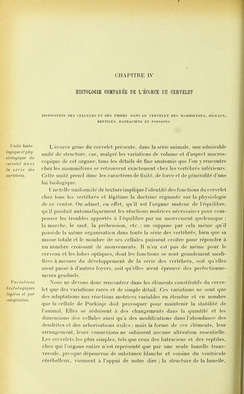 CHAPITRE IV HISTOLOGIE COMPAREE DE L'ECORCE DD CERVELET DISPOSITION DES CELLULES ET DES FIBRES DANS LE CERVELET DES MAMMIFERES, OISEAUX, REPTILES, BATRAC1ENS ET POISSONS Unite histo- logiqueet phy- siologique du cervelet dans la serie des vertibres. Variations histologiques tegeres et par adaptation. L'ecorce grise du cervelet presente, dans la serie animate, une admirable unite de structure, car, malgre les variations de volume et d'aspect macros- copique de cet organe, tous les details de fine anatomie que J'on y rencontre chez les mammiferes se retrouvent exactement chez les vertebres inferieurs. Cette unite prend done les caracteres de fixite, de force et de generality d'une loi biologique. Une telle uniformite de textureimplique l'identite des fonclions du cervelet chez tous les verlebres et legitime la doctrine regnante sur la physiologie de ce centre. On admet, en effet, qu'il est l'organe moteur de l'equilibre, qu'il produit automatiquement les reactions motrices necessaires pour com- penser les troubles apportes a l'equilibre par un mouvement quelconque : la marche, le saut, la prehension, etc. ; on suppose par cela meme qu'il possede la meme organisation dans toute la serie des vertebres, bien que sa masse totale et le nombre de ses cellules puissent croitre pour repondre a un nombre croissant de mouvements. II n'en est pas de meme pour le cerveau et les lobes optiques, dont les fonctions se sont grandement modi- fiees a mesure du developpement de la serie des vertebres, soit qu'elles aient passe a d'autres foyers, soit qu'elles aient eprouve des perfeclionne- ments graduels. Nous ne devons done rencontrer dans les elements constilutifs du cerve- let que des variations rares et de simple detail. Ces variations ne sont que des adaptations aux reactions motrices variables en etendue et en nombre que la cellule de Purkinje doit provoquer pour maintenir la stabilile de l'animal. Elles se reduisent a des changements dans la quantite et les dimensions des cellules ainsi qu'a des modifications dans l'abondance des dendrites et des arborisations axiles ; mais la forme de ces elements, leur arrangement, leurs connexions ne subissent aucune alteration essentielle. Les cervelefs les plus simples, tels que ceux des batraciens et des reptiles, chez qui l'organe entier n'est represents que par une seule lamelle trans- versale, presque depourvue de substance blanche et voisine du ventricule cerebelleux, viennent a l'appui de notre dire ; la structure de la lamelle,