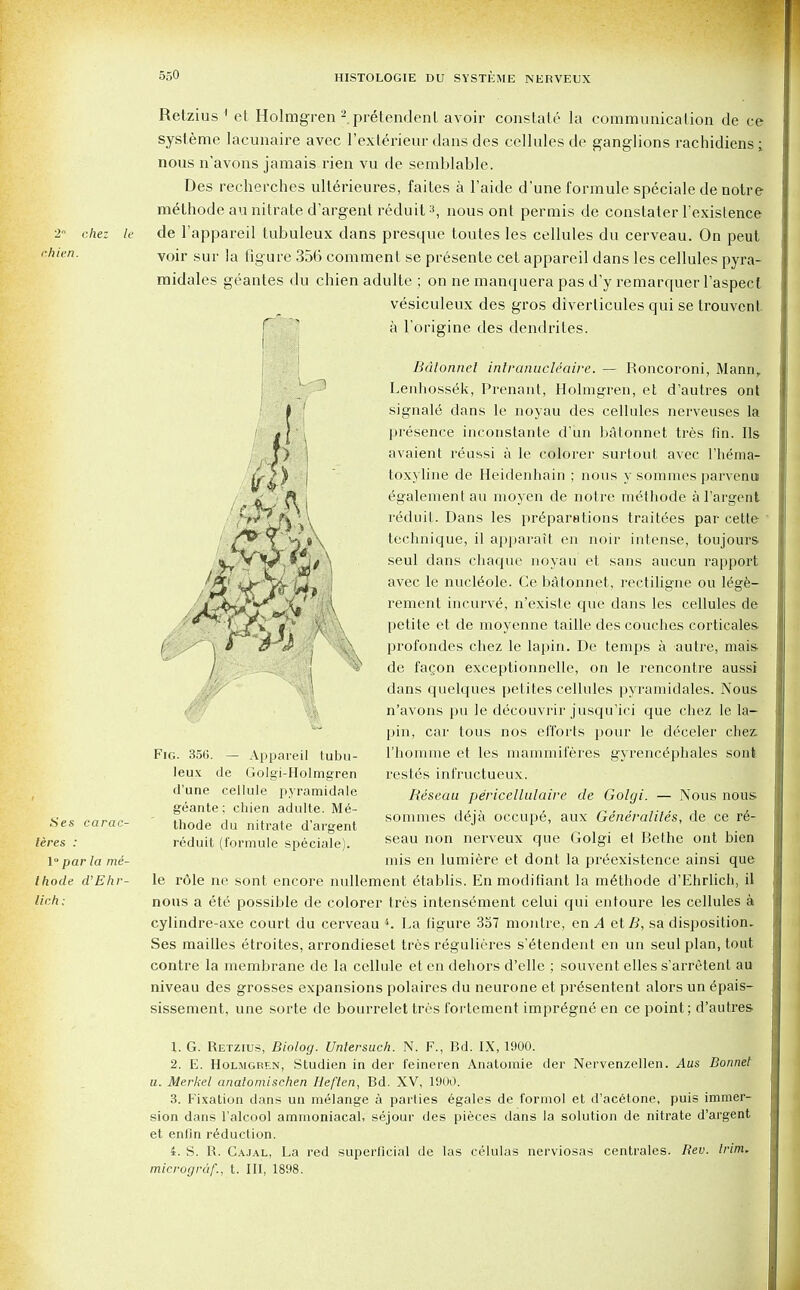 2 chez hien. Ses carac- teres : 1 par la mi- thode d'Ehr- lich: Retzius 1 et Holmgren 2 pretendent avoir constate la communication de ce systeme lacunaire avec l'exterieur dans des cellules de ganglions rachidiens; nous n'avons jamais rien vu de semblable. Des recherches ulterieures, faites a l'aide d'uneformule speciale de notre methodeau nitrate d'argent reduit nous ont permis de constater l'existence de l'appareil tubuleux dans presque toutes les cellules du cerveau. On peut voir sur la figure 356 comment se presente cet appareil dans les cellules pyra- midales geantes du chien adulte ; on ne mancpjera pas d'y remarquer l'aspect vesiculeux des gros diverlicules qui se trouvent. a l'origine des dendrites. r Bdlonnel intranucleaire. — Roncoroni, Mannr Lenhossek, Prenant, Holmgren, et d'autres ont signale dans le noyau des cellules nerveuses la presence inconstante d'un batonnet tres fin. lis avaient reussi a le colorer surtout avec l'henia- toxyline de Heidenhain ; nous y sommes parvenu egalement an moyen de notre medhode a l'argent reduit. Dans les preparations traitees par cette technique, il apparait en noir intense, toujours seul dans chaque noyau et sans aucun rapport avec le nucleole. Ce batonnet, rectiligne ou lege- rement incurve^ n'existe que dans les cellules de petite et de moyenne taille des couches corticales profondes chez le lapin. De temps a autre, mais de fagon exceptionnelle, on le rencontre aussi dans quelques pelites cellules pyramidales. Nous n'avons pu le decouvrir jusqu'ici que chez le la- pin, car tous nos efforts pour le d6celer chez l'homme et les mammiferes gyrencephales son! rest6s infructueux. Beseau pericellulaire de Golgi. — Nous nous sommes d&ja occupy, aux Generaliles, de ce re- seau non nerveux que Golgi et Bethe ont bien mis en lumiere et dont la pre'existence ainsi que le r61e ne sont encore nullement 6tablis. Enmodifiant la methode d'Ehrlich, il nous a ete possible de colorer tres intensement celui qui entoure les cellules a cylindre-axe court du cerveau *. La figure 357 monlre, en A etB, sa disposition- Ses mailles etroites, arrondieset tres regulieres s'6tendent en un seul plan, tout contre la membrane de la cellule et en dehors d'elle ; souvent elles s'arretent au niveau des grosses expansions polaires du neurone et pr6sentent alors un epais- sissement, une sorte de bourrelet tres fortement impr^gne en ce point; d'autres W ' % Fig. 356. — Appareil tubu- leux de Golgi-Holmgren d'une cellule pyramidale geante; chien adulte. Me- thode du nitrate d'argent reduit (formule speciale). 1. G. Retzius, Biolog. Untersuch. N. F., Bd. IX, 1900. 2. E. Holmgren, Studien in der feineren Anatomie der Nervenzellen. Aus Bonnet u. Merkel anatoniischen Heften, Bd. XV, 1900. 3. Fixation dans un melange a parties egales de formol et d'acetone, puis immer- sion dans l'alcool ammoniacal, sejour des pieces dans la solution de nitrate d'argent et entin reduction. i. S. R. Cajal, La red superficial de las celulas nerviosas centrales. Rev. trim, micrograf., t. Ill, 1898.