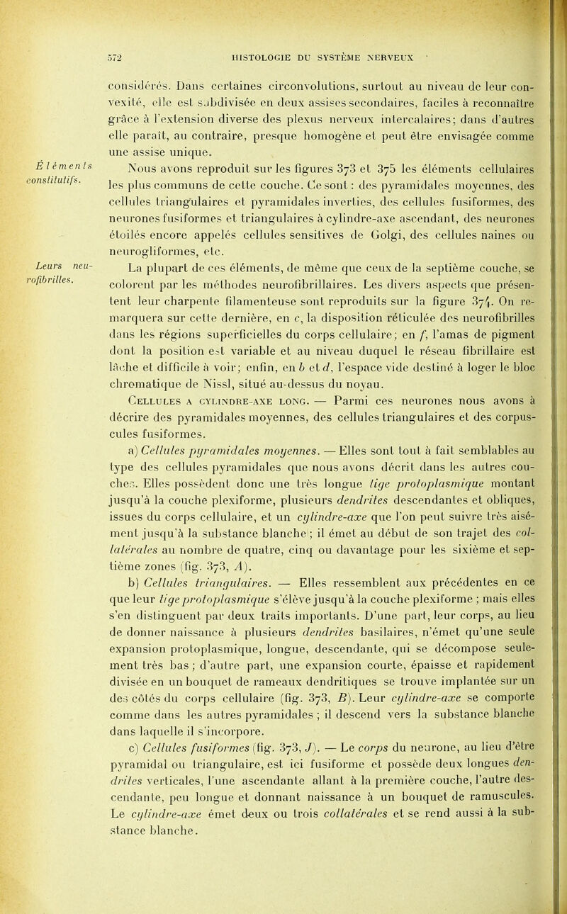 consideres. Dans certaines circonvolutions, surtout au niveau de leur con- vexite, die est subdivisee en deux assises secondaires, faciles a reconnaitre grace a l'extension diverse des plexus nerveux intercalates: dans d'autres elle parait, au contraire, presque homogene et peut 6tre envisagee comme une assise unique. EI intents Nous avons reproduit sur les figures 3j3 et 375 les elements cellulaires constitutifs. jgg pjug communs cette couche. Ce sont: des pyramidales moyennes, des cellules triangulaires et pyramidales inverties, des cellules fusiformes, des neurones fusiformes et triangulaires a cylindre-axe ascendant, des neurones etoiles encore appeles cellules sensitives de Golgi, des cellules naines ou neurogliformes, etc. Leurs neu- La plupart de ces Elements, de meme que ceux de la septieme couche, se rofibrilles. colorent par les methodes neurofibrillaires. Les divers aspects que presen- tent leur charpente filamenteuse sont reproduils sur la figure 374. On re- marquera sur cette derniere, en c, la disposition reHiculee des neurofibrilles dans les regions superficielles du corps cellulaire; en f, l'amas de pigment dont la position e^t variable et au niveau duquel le r6seau fibrillaire est lache et difficile a voir; enfin, en 6 etd, l'espace vide destine- a loger le bloc chromatique de Nissl, situe au-dessus du noyau. Cellules a cylindre-axe long. — Parmi ces neurones nous avons a d6crire des pyramidales moyennes, des cellules triangulaires et des corpus- cules fusiformes. a) Cellules pyramidales moyennes. —Elles sont tout a fait semblables au type des cellules pyramidales que nous avons decrit dans les autres cou- ches. Elles possedent done une ires longue lige protoplasmique montant jusqu'a la couche plexiforme, plusieurs dendrites descendantes et obliques, issues du corps cellulaire, et un cylindre-axe que Ton peut suivre tres ais6- ment jusqu'a la substance blanche ; il emet au debut de son trajet des col- late'rales au nombre de quatre, cinq ou davantage pour les sixieme et sep- tieme zones (fig. 373, A). b) Cellules triangulaires. — Elles ressemblent aux prec6dentes en ce que leur tigeprotoplasmique s'edeve jusqu'a la couche plexiforme ; mais elles s'en distinguent par deux traits importants. D'une part, leur corps, au lieu de donner naissance a plusieurs dendrites basilaires, n'emet qu'une seule expansion protoplasmique, longue, descendante, qui se decompose seule- ment tres bas; d'autre part, une expansion courte, epaisse et rapidement divisee en un bouquet de rameaux dendritiques se trouve implantee sur un des cotes du corps cellulaire (fig. 373, B). Leur cylindre-axe se comporte comme dans les autres pyramidales ; il descend vers la substance blanche dans laquelle il s'incorpore. c) Cellules fusiformes (fig. 373, J). — Le corps du neurone, au lieu d'etre pyramidal ou triangulaire, est ici fusiforme et possede deux longues den- drites verticales, l'une ascendante allant a la premiere couche, l'autre des- cendante, peu longue et donnant naissance a un bouquet de ramuscules. Le cylindre-axe emet deux ou trois collate'rales et se rend aussi a la sub- stance blanche.