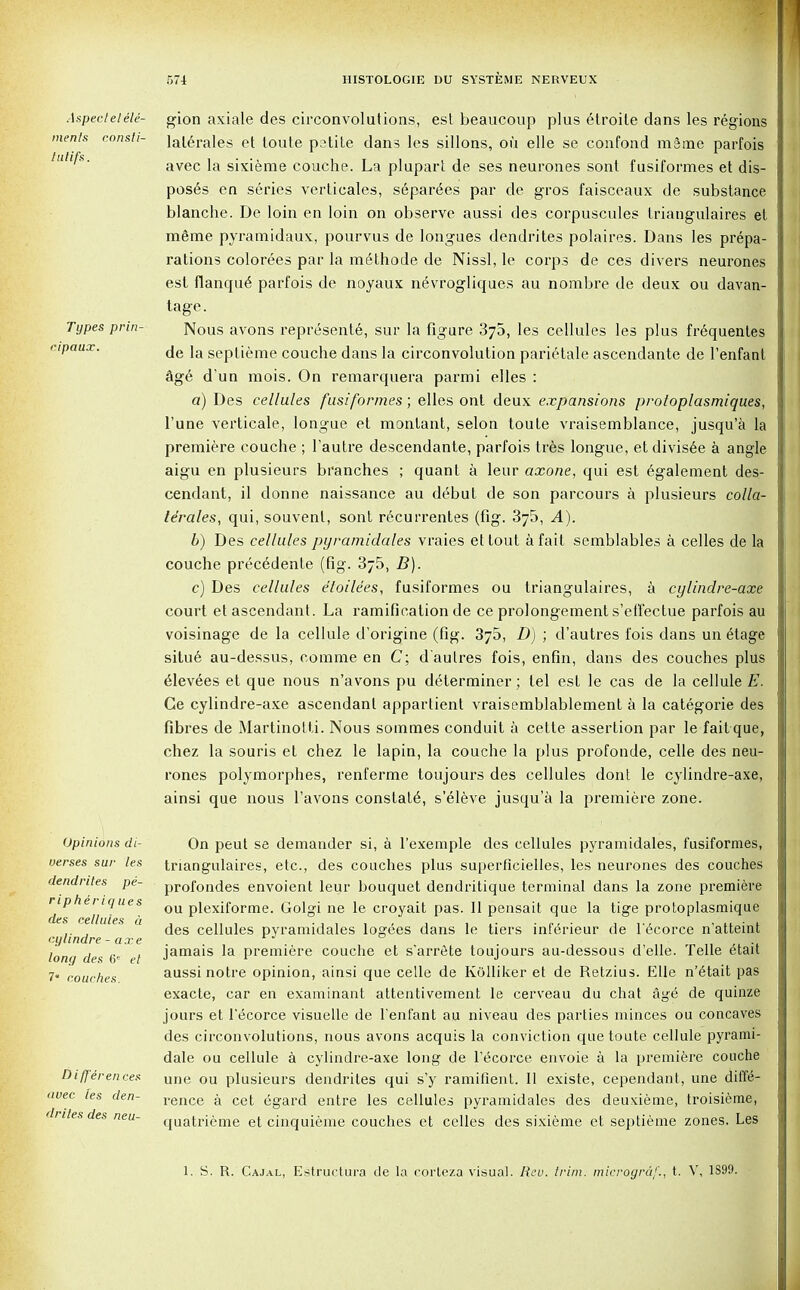 Aspect el ele- ments consli- tutifs. Types prin- ripaux. gion axiale des circonvolutions, est beaucoup plus etroite dans les regions lalerales et toute pstite dans les sillons, ou elle se confond msme parfois avec la sixieme couche. La plupart de ses neurones sont fusiformes et dis- poses en series verticales, s6par6es par de gros faisceaux de substance blanche. De loin en loin on observe aussi des corpuscules Iriaugulaires et mgme pyramidaux, pourvus de longues dendrites polaires. Dans les prepa- rations colorees par la m6thode de Nissl, le corps de ces divers neurones est flanque' parfois de noyaux nevrogliques au nombre de deux ou davan- tage. Nous avons represent6, sur la figure 375, les cellules les plus fr6quentes de la septieme couche dans la circonvolution parietale ascendante de Fenfant ag£ d'un mois. On remarquera parmi elles : a) Des cellules fusiformes; elles ont deux expansions protoplasmiques, l'une verticale, longue et montant, selon toute vraisemblance, jusqu'a la premiere couche ; l'autre descendante, parfois Ires longue, etdivisee a angle aigu en plusieurs branches ; quant a leur axone, qui est 6galement des- cendant, il donne naissance au debut de son parcours a plusieurs colla- te'rales, qui, souvent, sont recurrentes (fig. 3y5, ^4). 6) Des cellules pyramidales vraies ettout a fait semblables a celles de la couche precedente (fig. 3^5, B). c) Des cellules e'loilees, fusiformes ou triangulares, a cylindre-axe court et ascendant. La ramification de ce prolongement s'effectue parfois au voisinage de la cellule d'origine (fig. 375, D) ; d'autres fois dans un etage situ6 au-dessus, corame en C; d'autres fois, enfin, dans des couches plus edevees et que nous n'avons pu determiner; lei est le cas de la cellule E. Ge cylindre-axe ascendant appartient vraisemblablement a la categorie des fibres de Martinotti. Nous sommes conduit a cette assertion par le fait que, chez la souris et chez le lapin, la couche la plus profonde, celle des neu- rones polymorphes, renferme toujours des cellules dont le cylindre-axe, ainsi que nous l'avons constats, s'eleve jusqu'a la premiere zone. Opinions di- uerses sur les dendrites pe- ripheriques des cellules a culindre - axe lone/ des 6* et 7' couches. Differences avec les den- drites des neu- On peut se demander si, a l'exemple des cellules pyramidales, fusiformes, triangulaires, etc., des couches plus superficielles, les neurones des couches profondes envoient leur bouquet dendritique terminal dans la zone premiere ou plexiforme. Golgi ne le croyait pas. II pensait que la tige protoplasmique des cellules pyramidales logees dans le tiers inferieur de l'ecorce n'atteint jamais la premiere couche et s*arrete toujours au-dessous d'elle. Telle etait aussi notre opinion, ainsi que celle de Kolliker et de Retzius. Elle n'etait pas exacte, car en examinant attentivement le cerveau du chat ag6 de quinze jours et l'ecorce visuelle de Fent'ant au niveau des parties minces ou concaves des circonvolutions, nous avons acquis la conviction que toute cellule pyrami- dale ou cellule a cylindre-axe long de Tecorce envoie a la premiere couche une ou plusieurs dendrites qui s'y ramifient. II existe, cependant, une diite- rence a cet egard entre les cellules pyramidales des deuxieme, troisieme, quatrieme et cinquieme couches et celles des sixieme et septieme zones. Les 1. S. R. Cajal, Estructura de la corlcza visual. Rev. trim, microgrdf., t. V, 1899.