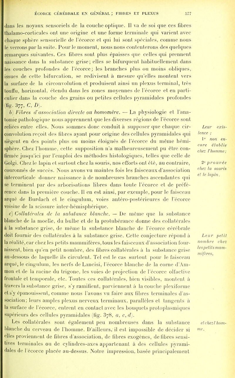 dans les noyaux sensoriels de la couche optique. II va de soi que ces fibres thalamo-corticales ont une origine el une forme terminale qui varient avec chaque sphere sensorielle de l'ecorce et qui lui sonl speciales, comme nous le verrons par la suite. Pour le moment, nous nous conlenterons des quelques rcmarques suivantes. Ces fibres sont plus epaisses que celles qui prennent naissance dans la substance grise; elles se bifurquent habituellement dans les couches profondes de l'ecorce; les branches plus ou moins obliques, issues de cette bifurcation, se redivisent a mesure qu'elles montent vers la surface de la circonvolulion et produisent ainsi un plexus terminal, tres toidl'u, horizonlal, etendu dans les zones moyennes de l'ecorce et en parti- Ciulier dans la couche des grains ou petiles cellules pyramidales profondes (fi-. 377, C, D). b) Fibres d'association directe on homomere. — La physiologic et l'ana- tomie pathologique nous apprennenl que les diverses regions de l'ecorce sont reliees entre elles. Nous sommes done conduit a supposer que chaque cir- convolution regoit des fibres ayant pour origine des cellules pyramidales qui siegent en des points plus ou moins eloignes de l'ecorce du mSme hemi- sphere. Chez l'homme, cette supposition n'a malheureusement pu elre con- firmee jusqu'ici par l'emploi des methodes histologiques, telles que celle de Golgi. Chez le lapin et surtout chez la souris, nos efforts ont ete, au contraire, couronnes de succes. Nous avonsvu maintes fois les faisceaux d'association intercorticale donner naissance a de nombreuses branches ascendanles qui se terminent par des arborisations fibres dans toute l'ecorce et de prefe- rence dans la premiere couche. II en est ainsi, par exemple, pour le faisceau arque de Burdach et le cingulum, voies antero-posterieures de l'ecorce voisinc de la scissure inter-hemispherique. c) Collaterales de la substance blanche. — De meme que la substance blanche de la moelle, du bulbe et de la protuberance donne des collaterales a la substance grise, de meme la substance blanche de l'ecorce cerebrale doit fournir des collaterales a la substance grise. Cette conjecture repond a la realite, car chez les pelils mammiferes, tous les faisceaux d'association four- nissent, bien qu'en petit nombre, des fibres collaterales a la substance grise au-dessous de laquelle ils circulent. Tel est le cas surtout pour le faisceau arque, le cingulum, les nerfs de Lancisi, l'ecorce blanche de la come d'Am- mon et de la racine du trigone, les voies de projection de l'ecorce olfactive fronlale et temporale, etc. Toutes ces collaterales, bien visibles, montent a travcrs la substance grise, s'y ramifient, parviennent a la couche plexiforme els'y epanouissent, comme nous l'avons vu faire aux fibres ferminales d'as- sociation; leurs amples plexus nerveux terminaux, paralleles el tangents a la surface de l'ecorce, entrent en contact avec les bouquets protoplasmiques superieurs des cellules pyramidales (fig. 378, a, c, d). Les collaterales sonl egalement peu nombreuses dans la substance blanche du cerveau de l'homme. D'ailleurs, il est impossible de decider si elles proviennenl de fibres d'association, de fibres exogenes, de fdjres sensi- tives terminales ou de cylindres-axes appartenant a des cellules pyrami- flales de l'ecorce placee au-dessus. Notre impression, basee principalement Lear exis- tence ; 1° non en- core Habile chez l'homme; 2° prouvie chez la souris et le lapin. Leur petit nombre chez les pelils mam- miferes, et chez l'hom- me.