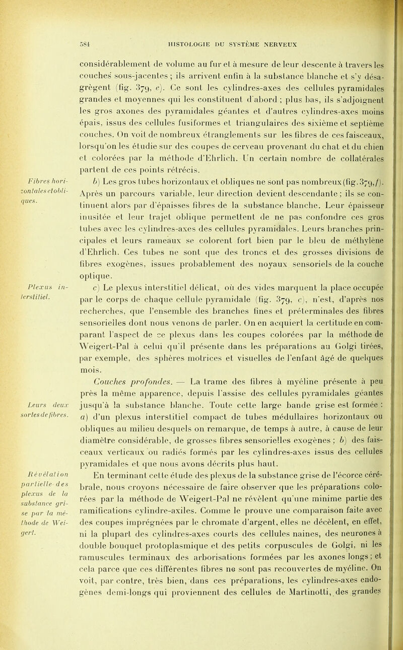 Fibres hori- zonlatesetobli- ques. Plexus in- terstitiel. Leurs deux sorlesde fibres. Revelation partielle- des plexus de la substance gri- se par la me- thode de Wei- gert. considerablement de volume au fur el a mesure de leur descente a travers les couches sous-jacentes ; ils arrivent enfin a la substance blanche et s'v desa- gregent (fig. 379, e). Ce sonl les cylindres-axes des cellules pyramidales grandes et moyennes qui les constituent d'abord ; plus bas, ils s'adjoignent les gros axones des pyramidales geantes et d'autres cylindres-axes moins epais, issus des cellules fusiformes et triangulares des sixiemeet septieme couches. On voit de nombreux etranglements sur les fibres de ces faisceaux, lorsqu'on les etudie sur des coupes de cerveau provenant du chat et du chien et colorees par la methode d'Ehrlich. Un certain nombre de collaterals partent de ces points retrecis. 6) Les gros tubes horizontaux et obliques ne sont pas nombreux (fig. 379,/). Apres un parcours variable, leur direction devient descendante; ils se con- tinuent alors par d'epaisses fibres de la substance blanche. Leur epaisseur inusitee et leur trajet oblique permettent de ne pas confondre ces gros tubes avec les cylindres-axes des cellules pyramidales. Leurs branches prin- cipales et leurs rameaux se colorent fort bien par le bleu de methylene d'Ehrlich. Ces tubes ne sont que des troncs et des grosses divisions de fibres exogenes, issues probablement des noyaux sensoriels de la couche optique. c) Le plexus interslitiel delicat, ou des vides marquent la place occupee par le corps de chaque cellule pyramidale (fig. 379, c), n'est, d'apres nos recherches, que l'ensemble des branches fines et preterminales des fibres sensorielles dont nous venons de parler. On en acquiert la certitude en com- parant faspect de ce plexus dans les coupes colorees par la methode de Weigert-Pal a celui qu'il presente dans les preparations au Golgi tirees, par exemple, des spheres motrices et visuelles de l'enfant age de quelques mois. Couches profondes. — La trame des fibres a myeline presente a peu pres la meme apparence, depuis fassise des cellules pyramidales geantes jusqu'a la substance blanche. Toute cette large bande grise est formee : a) d'un plexus interslitiel compact de tubes medullaires horizontaux 011 obliques au milieu desquels on remarque, de temps a autre, a cause de leur diametre considerable, de grosses fibres sensorielles exogenes ; 6) des fais- ceaux verticaux ou radies formes par les cylindres-axes issus des cellules pyramidales et que nous avons decrits plus haut. En terminant cette etude des plexus de la substance grise de l'ecorce cer6- brale, nous croyons necessaire de faire observer que les pr6parations colo- rees par la methode de Weigert-Pal ne revelent qu'une minime partie des ramifications cylindre-axiles. Comme le prouve une comparaison faite avec des coupes impregnees par le chromate d'argent, elles ne decelent, en eflet, ni la plupart des cylindres-axes courts des cellules naines, des neurones a double bouquet protoplasmique et des petits corpuscules de Golgi, ni les ramuscules terminaux des arborisations formees par les axones longs; et cela parce que ces differentes fibres ne sont pas recouvertes de myeline. On voit, par contre, tres bien, dans ces preparations, les cylindres-axes endo- genes demi-longs qui proviennent des cellules de Martinotti,.des grandes