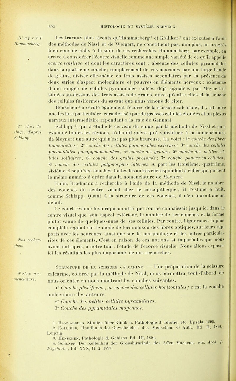 D' ap r e s Les travaux plus recents qu'Hammarberg 1 et Kolliker2 ont executes a l'aide Hammarberg. des methodes de Nissl et de Weigert, ne constituent pas, non plus, un progres bien considerable. A la suite de ses recherches, Hammarberg, parexemple, en arrive a considerer l'ecorce visuelle comme une simple varidte de ce qu'il appelle ecorce sensitive et dont les caracteres sont : absence des cellules pyramidales dans la quatrieme couclie; remplacement de ces neurones par une large bande de grains, divisee elle-meme en trois assises secondaires par la presence de deux stries d'aspect moleculaire et pauvres en elements nerveux ; existence d'une rangee de cellules pyramidales isolees, deja signages par Meynert et situees au-dessous des trois assises de grains, ainsi qu'entre elles et la couche des cellules fusiformes du savant que nous venons de citer. Henschen 3 a scrute 6galement l'ecorce de la scissure calcarine; il y atrouve' une texture particuliere, caracteris^e par de grosses cellules etoilees et un plexus nerveux interme^diaire repondant a la raie de Gennari. 2 chez le Schlapp 4, qui a etudie le cerveau du singe par la methode de Nissl et en a singe, ilapres examine toutes les regions, n'aboutit guere qu'a substituer a la nomenclature Schlapp. Meynert une autre qui n'est pas plus heureuse. La voici: 1° couche des fibres tangenlielles; 1° couche des cellules polgmorphes exlernes; 3° couche des cellules pyramidales parapycnomorphes; 4° couche des grains; 5° couche des petiles cel- lules solitaires; 6° couche des grains profonds ; 1° couche pauvre en cellules; 8° couche des cellules polymorphes internes. A part les troisieme, quatrieme, sixieme et septieme couches, toutes les autres correspondent a celles qui portent le meme numero d'ordre dans la nomenclature de Meynert. Enfin, Brodmann a recherche a l'aide de la methode de Nissl, le nombre des couches du centre visuel chez le cercopitheque ; il l'estime a huit, comme Schlapp. Quant a la structure de ces couches, il n'en fournit aucun detail. Ce court resum6 historique montre que Ton ne connaissait jusqu'ici dans le centre visuel que son aspect ext6rieur, le nombre de ses couches et la forme plutot vague de quelques-unes de ses cellules. Par contre, l'ignorance la plus complete regnait sur 1^ mode de terminaison des fibres optiques, surleurs rap- ports avec les neurones, ainsi que sur la morphologie et les autres particula- Nos recher- rites de ces elements. C'est en raison de ces notions si imparfaites que nous cnex- avons entrepris, a notre tour, l'etude de l^corce visuelle. Nous allons exposer ici les r^sultats les plus importants de nos recherches. Structure de la scissure calcarine. — Une preparation de la scissure Notre no- calcarine, coloree par la melhode de Nissl, nous permettra, tout d'abord, de menclature. nGus orienter en nous monlrant les couches suivantes. i° Couche plexiforme, on encore des cellules horizontals; c'est la couche moleculaire des auteurs. 2° Couche des pelites cellules pyramidales. 3° Couche des pyramidales moyennes. 1. Hammarberg, Studien uber Klinik u. Pathologie d. Idiotie, etc. Upsala, 1895. 2. Kolliker, Handbuch der Gewebeleln-e des Menschen. 6e Aull., Bd. II, 1S9U, Leipzig. 3. Henschen, Pathologie d. Gehirns, Bd. Ill, 1894. 4. Schlapp, Der Zellenbau der Grosshirnrinde des Affen Macacus, etc. Arch. f. Psgchiatr., Bd. XXX, H. 2, 1897.