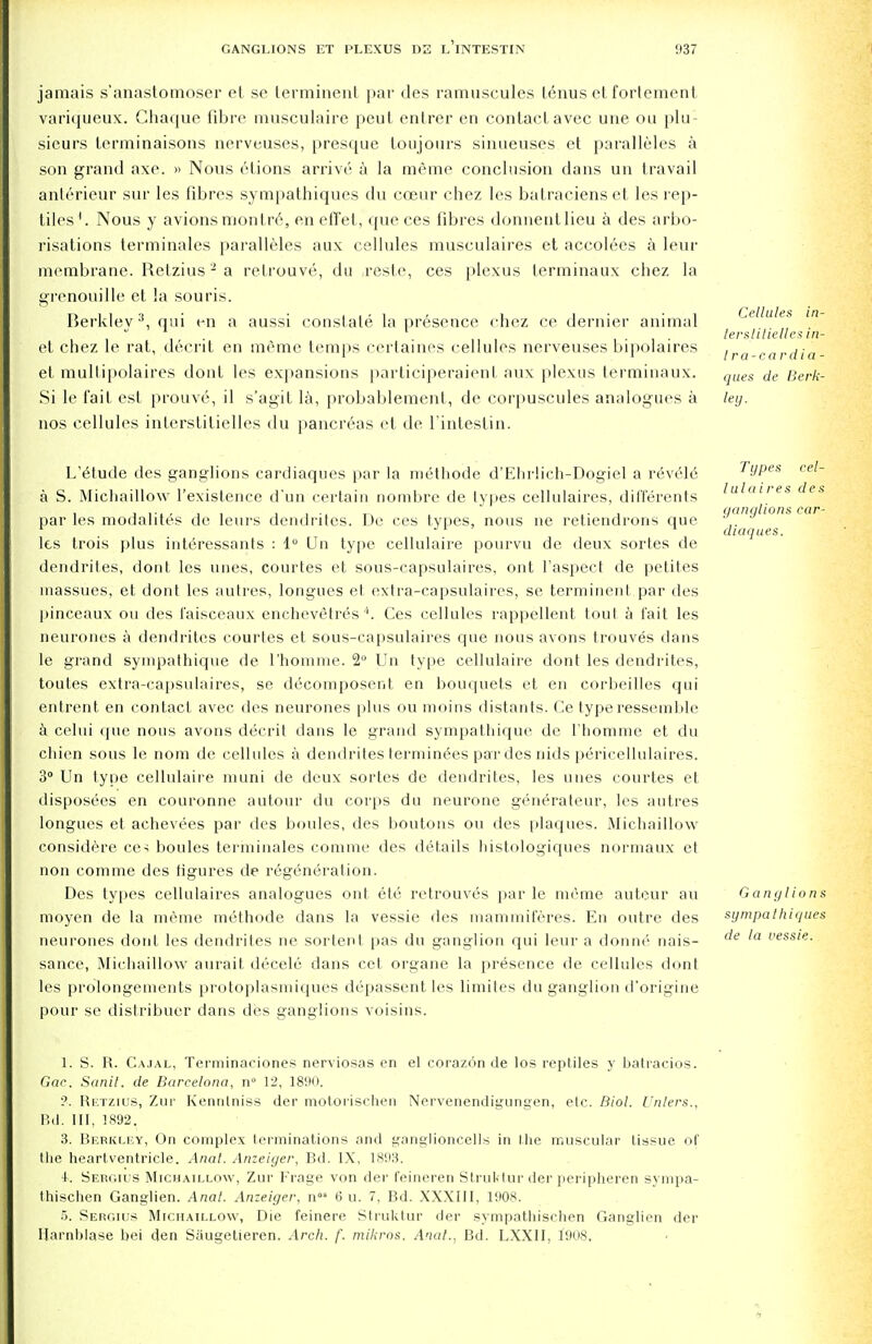 jamais s'anastomoser el se terminenl par des ramuscules tenus et forlement variqueux. Ghaque fibre musculaire peut entrer en contact avec une on plu- sicurs lerminaisons nerveuses, presque toujours sinueuses et paralleles a son grand axe. » Nous etions arrive a la meme conclusion dans un travail anterieur sur les fibres sympathiques du coeur chez les batraciens et les rep- tiles1. Nous y avions monlrc, en effef, que ces fibres donnentlieu a des arbo- risations terminales paralleles aux cellules musculaires et accolees a leur membrane. Retzius2 a retrouve, du resle, ces plexus terminaux chez la grenouille et la souris. Berkley3, qui en a aussi constate la presence chez ce dernier animal et chez le rat, decrit en meme temps certaines cellules nerveuses bipolaires et multipolaires dont les expansions participeraienl aux plexus terminaux. Si le fait est prouve, il s'agit la, probablement, de corpuscules analogues a nos cellules interstitielles du pancreas et de l'intestin. Cellules in- tersliliellcf: in- tra- cardia- ques de Berk- ley. L'e'tude des ganglions cardiaques par la methode d'Ehrlich-Dogiel a revede a S. Michaillow l'existence d'un certain nombre de types cellulaires, differents par les modalit^s de leurs dendrites. De ces types, nous ne retiendrons que les trois plus interessants : 1° Un type cellulaire pourvu de deux sortes de dendrites, dont les lines, courtes et sous-capsulaires, ont l'aspect de petites inassues, et dont les autres, tongues et extra-capsulaircs, se terminenl par des pinceaux ou des i'aisceaux enchevetres''. Ces cellules rappellent tout a fait les neurones a dendrites courtes et sous-capsulaires que nous avons trouves dans le grand sympathique de 1'homme. 2° Un type cellulaire dont les dendrites, toutes extra-capsulaires, se decomposer^ en bouquets et en corbeilles qui entrent en contact avec des neurones plus ou moins distants. Ce type resseinble a celui que nous avons decrit dans le grand sympathique de 1'homme et du chien sous le nom de cellules a dendrites termin^es par des nids pericellulaires. 3° Un type cellulaire muni de deux sortes de dendrites, les lines courtes et disposees en couronne autour du corps du neurone generateur, les autres longues et achevees par des boules, des boutons ou des plaques. Michaillow considere ces boules terminales comme des details histologiques normaux et non comme des figures de regeneration. Des types cellulaires analogues out etc retrouves par le meme auteur an moyen de La meme methode dans la vessie des mammiferes. En outre des neurones donL les dendrites ne sortent pas du ganglion qui leur a domic1 nais- sance, Michaillow aurait decele dans cet organe la presence de cellules dont les prolongements protoplasmiques depassent les limites du ganglion d'origine pour se distribuer dans des ganglions voisins. Types cel- lulaire s d e s ganglions car- dia</ues. Ganglions sympathiques de la vessie. 1. S. R. Ca.ial, Terminaciones nerviosas en el corazon de los reptiles y batracios. Gar. Sanit. de Barcelona, n° 12, 1890. ?. Retzius, Zur Kennlniss der motorischen Nervenendigungen, etc. Biol. Unlers., Bd. Ill, 1892. 3. Berkley, On complex terminations and gangtioncells in tlie muscular tissue of the heart ventricle. Anal. Anzeiger, Bd. IX, 1893. 4. Bergius Michaillow, Zur F'rage von der feineren Struktur der peripheren sympa- thischen Ganglien. Anal. Anzeiger, n 6 u. 7, Bd. XXXIII, 1908. 5. Sergius Michaillow, Die feinere Struktur der sympathischen Ganglien der IIarnl)lase hei den Saugetieren. Arch. f. mikros. Anal., Bd. LXXII, 1908.