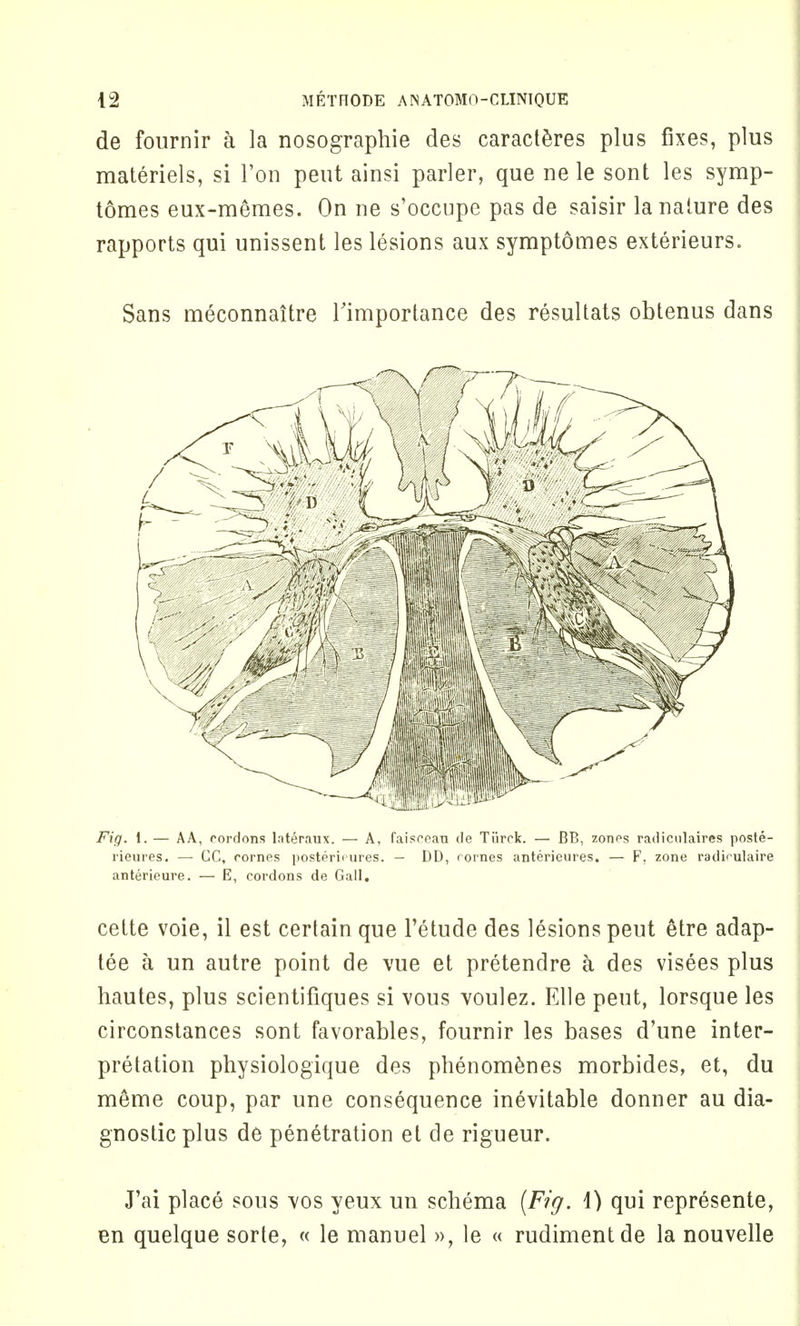 de fournir a la nosographie des caracteres plus fixes, plus materiels, si Ton pent ainsi parler, que ne le sont les symp- tomes eux-memes. On ne s'occupe pas de saisir la nature des rapports qui unissent les lesions aux symptomes exterieurs. Sans meconnaitre Timportance des resultats obtenus dans Fig. 1. — AA, cordons lateraux. — A, faisoeau de Tiirck. — BB, zones radiculaires poste- rieures. — CC, rornes posteriiures. — DD, rornes anterieures. — F. zone radioulaire anterieure. — E, cordons de Gall. cette voie, il est certain que Fetude des lesions peut etre adap- tee a un autre point de vue et pretendre a des visees plus hautes, plus scientifiques si vous voulez. Elle peut, lorsque les circonstances sont favorables, fournir les bases d'une inter- pretation physiologique des phenomenes morbides, et, du meme coup, par une consequence inevitable donner au dia- gnostic plus de penetration et de rigueur. J'ai place sous vos yeux un schema [Fig. i) qui represente, en quelque sorte, « le manuel », le « rudiment de la nouvelle