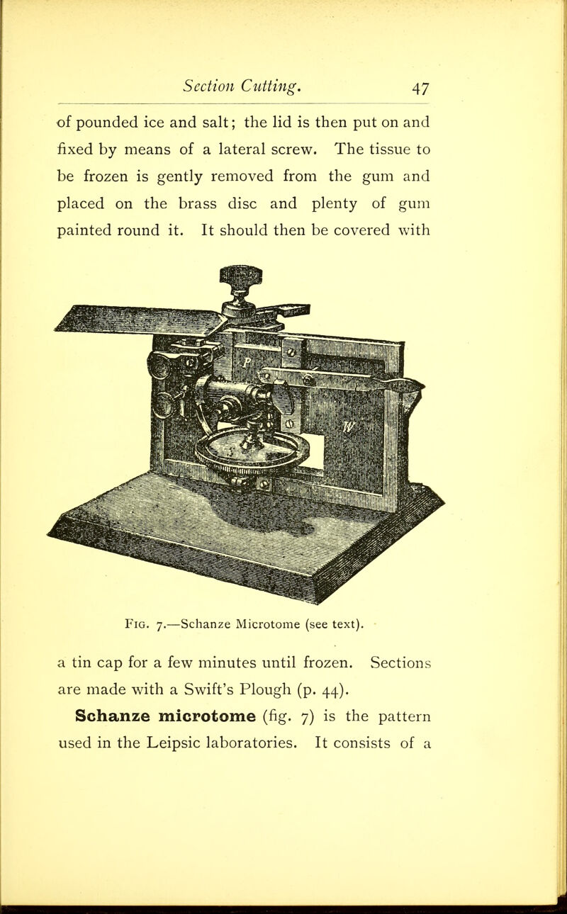 of pounded ice and salt; the lid is then put on and fixed by means of a lateral screw. The tissue to be frozen is gently removed from the gum and placed on the brass disc and plenty of gum painted round it. It should then be covered with Fig. 7.—Schanze Microtome (see text). a tin cap for a few minutes until frozen. Sections are made with a Swift's Plough (p. 44). Schanze microtome (fig. 7) is the pattern used in the Leipsic laboratories. It consists of a