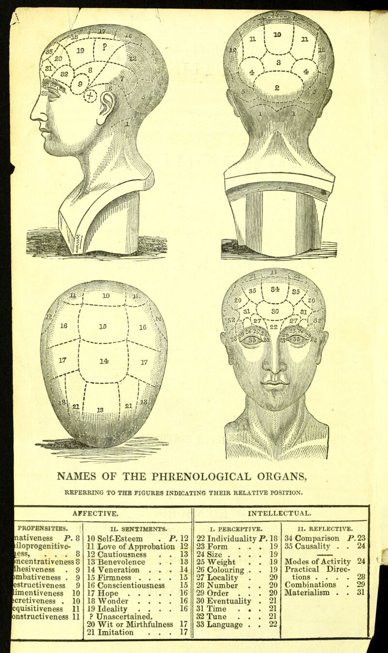 NAMES OF THE PHRENOLOGICAL ORGANS, REFERRING TO THE FIGURES INDICATING THEIR RELATIVE POSITION. AFFECTIVE. INTELLECTUAL. PROPENSITIES. ativeness P. 8 iloprogenitive- ess, ... 8 ncentrativeness 8 esiveness mbativeness . structiveness imentiveness cretiveness . quisitiveness nstructiveness 11 II. SENTIMENTS. 10 Self-Esteem . P. 12 11 Love of Approbation 12 12 Cautiousness . . 13 13'Benevolence . . 13 14 Veneration ... 14 15 Firmness .... 15 16 Conscientiousness 15 17 Hope 16 18 Wonder .... 16 19 Ideality .... 16 ? Unascertained. 20 Wit or Mirthfulness 17 21 Imitation ... 17 I. PERCEPTIVE. 22 Individuality P. 18 19 19 19 19 20 20 20 21 21 21 22 23 Form 24 Size . . . 25 Weight 26 Colouring .. 27 Locality 28 Number . 29 Order . . 30 Eventuality 31 Time . . 32 Tune . . 33 Language . II. REFLECTIVE. 34 Comparison P, 35 Causality . . Modes of Activity 24 Practical Direc- tions .... 28 Combinations . 29 Materialism . . 31