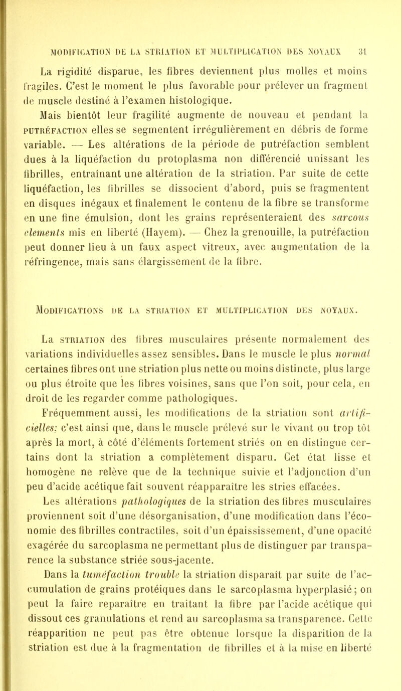 La rigidite disparue, les fibres deviennent plus molles et moins JVagiles. C'est le moment le plus favorable pour prelever un fragment de muscle destine a Pexamen histologique. Mais bientot leur fragilite augmente de nouveau et pendant la putrefaction elles se segmentent irregulierement en debris de forme variable. — Les alterations de la periode de putrefaction semblent dues a la liquefaction du protoplasma non differencie unissant les fibrilles, entrainant une alteration de la striation. Par suite de cette liquefaction, les fibrilles se dissocient d'abord, puis se fragmentent en disques inegaux et finalement le contenu de la fibre se transforme en une fine emulsion, dont les grains representeraient des sarcous elements mis en liberte (Hayem). — Chez la grenouille, la putrefaction peut donner lieu a un faux aspect vitreux, avec augmentation de la refringence, mais sans elargissement de la fibre. Modifications de la striation et multiplication des noyaux. La striation des fibres musculaires presente normalement des variations individuelles assez sensibles. Dans le muscle le plus normal certaines fibres ont une striation plus nette ou moins distincte, plus large ou plus etroite que les fibres voisines, sans que Ton soit, pour cela, en droit de les regarder comme pathologiques. Frequemment aussi, les modifications de la striation sont artifi- cielles; c'est ainsi que, dans le muscle preleve sur le vivant ou trop tot apres la mort, a cote d'elements fortement stries on en distingue cer- tains dont la striation a completement disparu. Get etat lisse et homogene ne releve que de la technique suivie et Padjonction d'un peu d'acide acetiquefait souvent reapparaitre les stries effacees. Les alterations patliologiques de la striation des fibres musculaires proviennent soit d'une disorganisation, d'une modification dans Peco- nomie des fibrilles contractiles. soit d'un epaississement, d'une opacite exageree du sarcoplasma ne permettant plus de distinguer par transpa- rence la substance striee sous-jacente. Dans la tumefaction trouble la striation disparait par suite de l'ac- cumulation de grains proteiques dans le sarcoplasma hyperplasie; on peut la faire reparaitre en traitant la fibre par Pacide acetique qui dissout ces granulations et rend au sarcoplasma sa transparence. Cettc reapparition ne peut pas etre obtenue lorsque la disparition de la striation est due a la fragmentation de fibrilles et a la mise en liberte