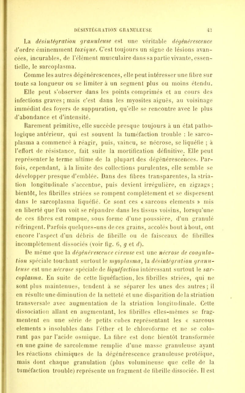 La disintegration granuleuse est une veritable degenerescence d'ordre eminemment toxique. G'est toujours un signe de lesions avan- cees, incurables, de l'element musculaire dans saparlie vivante, essen- tielle. le sarcoplasma. Comme les autres degenerescences, elle peut interesser une fibre sur toute sa longueur ou se limiter a un segment plus ou moins etendu. Elle peut s'observer dans les points comprimes et au cours des infections graves; mais c'est dans les myosites aigues, au voisinage immediat des foyers de suppuration, qu'elle se rencontre avec le plus d'abondance et d'intensite. Rarement primitive, elle succede presque toujours a un etat patho- logique anterieur, qui est souvent la tumefaction trouble : le sarco- plasma a commence a reagir, puis, vaincu, se necrose, se liquelie ; a l'effort de resistance, fait suite la mortification definitive. Elle peut representer le terme ultime de la plupart des degenerescences. l*ar- fois, cependant, a La limite des collections purulentes, elle semble se developper presque d'emblee. Dans des fibres transparentes, la stria- tion longitudinale s'accentue, puis devient irreguliere, en zigzags ; bient6t, les fibrilles striees se rompent completement et se dispersent dans le sarcoplasma liquefie. Ce sont ces « sarcous elements » mis en liberte que Ton voit se repandre dans les tissus voisins, lorsqu'une de ces fibres est rompue, sous forme d'une poussiere, d'un granule refringent. Parfois quelques-uns deces grains, accoles bout about, ont encore Paspect d'un debris de fibrille ou de faisceaux de fibrilles incompletement dissocies (voir fig. 6, g et d). De me me que la dege'neresccnce areuse esl une necrose de coagula- tion s|»('ciale toucbant surtout le myoplasma, la disintegration granu- leusc est une necrose specialede liquefaction interessant surtout le sar- coplasma. En suite de cette liquefaction, les fibrilles striees, qui ne sont plus maintenues, tendent a se separer les unes des autres; il tui resulb* une diminution de la nettete etune disparition dela striation transversale avec augmentation de la striation longitudinale. Cette dissociation allant en augmentant, les fibrilles elles-memes se frag- mentent en une serie de petits cubes representant les « sarcous elements i insolubles dans 1'ether et le cbloroforme et ne se colo- rant pas par l'acide osmique. La fibre est done bientot transformed en une gaine de sarcolemme remplie d'une masse granuleuse ayant les reactions cbiiniques de la degenerescence granuleuse proteique, mais dont chaque granulation (plus volumineuse que celle de la tumefaction trouble) represente un fragment de fibrille dissociee. II est