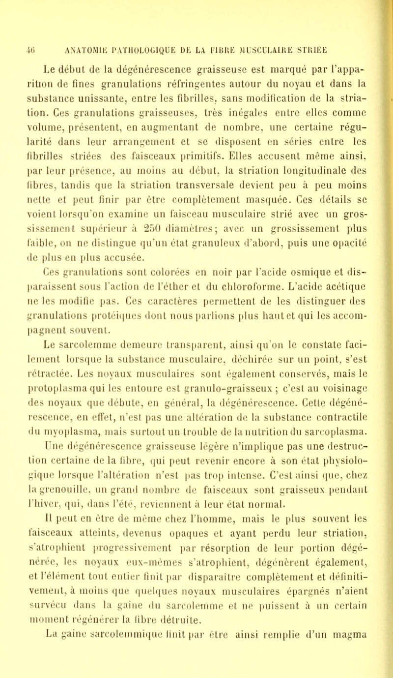 Le debut de la degenerescence graisseuse est marque par l'appa- rition de fines granulations refringentes autour du noyau et dans la substance unissante, entre les fibrilles, sans modification de la stria- tion. Ces granulations graisseuses, tres inegales entre elles comme volume, presentent, en augmentant de nombre, une certaine regu- larite dans leur arrangement et se disposent en series entre les librilles striees des faisceaux primitifs. Elles accusenl meme ainsi, par leur presence, au moins au debut, la striation longitudinale des libres, tandis que la striation transversale devient peu a peu moins nette et peut finir par etre completement masquee. Ces details se voient lorsqu'on examine un faisceau musculaire strie avec un gros- sissement superieur a 250 diametres; avec un grossissement plus faible, on no distingue qu'un etat granuleux d'abord, puis une opacite de plus en plus accusee. Ces granulations sont colorees en noir par l'acide osmique et dis- paraissent sous faction de fether et du chloroforme. L'acide acetique ne les inodifie pas. Ces caracteres permettent de les distinguer des granulations proteiques dont nousparlions plus hautetqui les accom- pagnent souvent. Le sarcolemme demcure transparent, ainsi qu'on le constate faci- lement lorsque la substance musculaire, dechiree sur un point, s'est r^tractee. Les noyaux musculaires sont egalement conserves, mais le pi otoplasma qui les entoure est granulo-graisseux ; c'est au voisinagc des noyaux que debute, en general, la degenerescence. Cette degene- rescence, en effet, n'est pas une alteration dc la substance contractile du myoplasma, mais surtout un trouble de la nutrition du sarcoplasma. Une degenerescence graisseuse legere n'implique pas une destruc- tion certaine de la fibre, qui peut revenir encore a son etat physiolo- ^i(juc lorsque falteration n'est pas trop intense. C'est ainsi que, chez la grenouille, un grand nombre de faisceaux sont graisseux pendant I'hiver, qui, dans l'etc, reviennent a leur etat normal. II peut en etre de meme chez l'homme, mais le plus souvent les faisceaux atteints, devenus opaques et ayant perdu leur striation, s'atrophient progressivement par resorption de leur portion dege- nerec, les noyaux eux-memes s'atrophient, degencrent egalement, et l'element tout entier finit par disparaitre completement et definiti- vement, a moins que quelques noyaux musculaires epargnes n'aient survecu dans la gaine du sarcolemme et ne puissent a un certain moment regenerer la libre detruite. La gaine sarcolemmique finit par etre ainsi remplie d'un magma