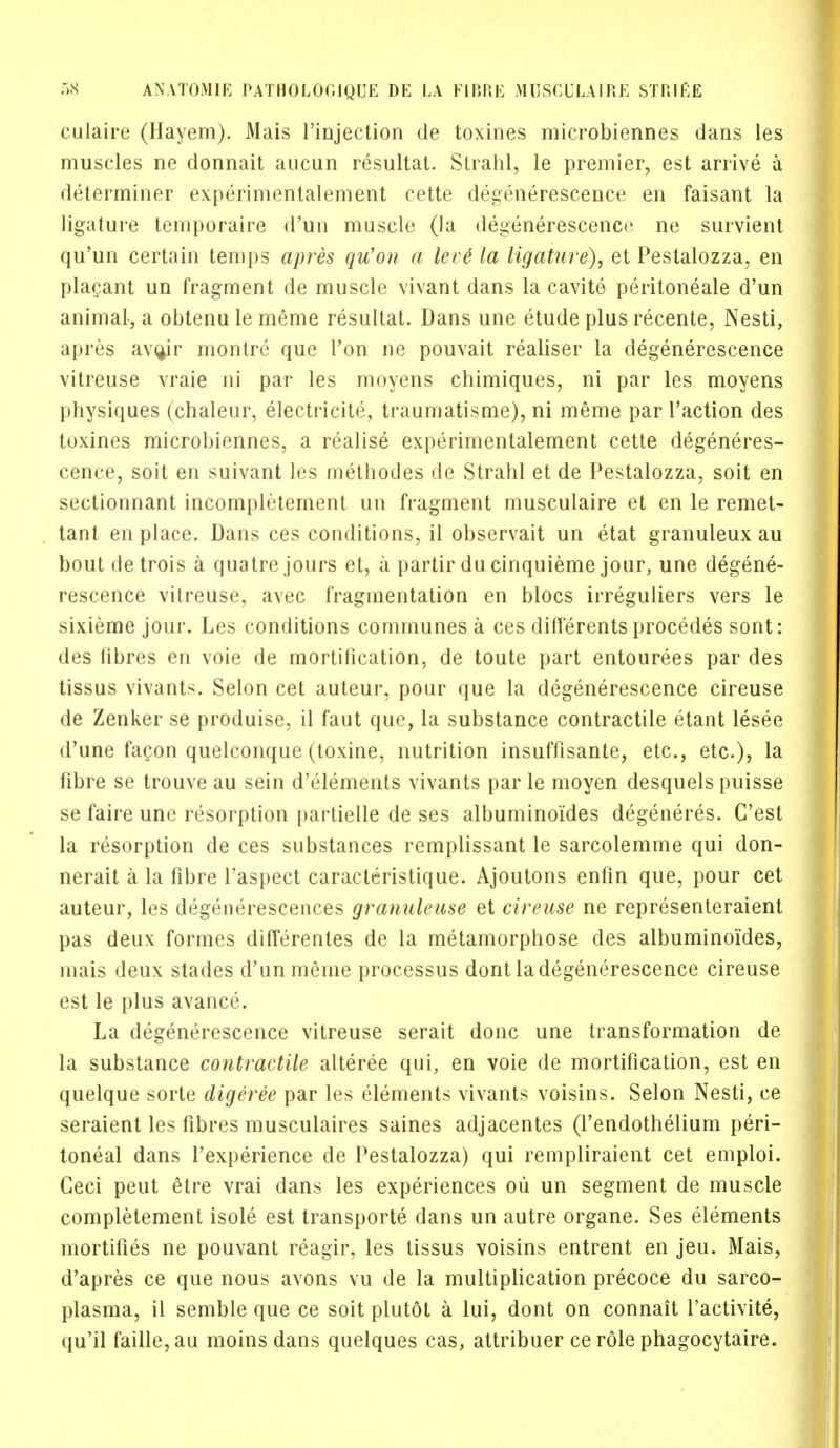 culaire (Hayem). Mais l'injection de toxines microbiennes dans les muscles ne donnait aucun resultat. Strahl, le premier, est arrive a determiner experimentalement cette degenerescence en faisant la ligature temporaire d'un muscle (la degenerescence ne survient qu'un certain temps apres qu'on a ler6 la ligature), et Pestalozza, en placant un fragment de muscle vivant dans la cavite peritoneale d'un animal, a obtenu le meme resultat. Dans une etude plus recente, Nesti, apres av^ir montre que Ton ne pouvait realiser la degenerescence vitreuse vraie ni par les moyens chimiques, ni par les moyens physiques (chaleur, electricite, traumatisme), ni meme par Taction des toxines microbiennes, a realise experimentalement cette degeneres- cence, soit en suivant les methodes de Strahl et de Pestalozza, soit en sectionnant incompletement un fragment musculaire et en le remet- tant en place. Dans ces conditions, il observait un etat granuleux au bout detrois a quatre jours et, a partir du cinquieme jour, une degene- rescence vilreuse, avec fragmentation en blocs irreguliers vers le sixieme jour. Les conditions communes a ces diflerents procedes sont: des fibres en voie de mortification, de toute part entourees par des tissus vivants. Selon cet auteur, pour que la degenerescence cireuse de Zenker se produise, il faut que, la substance contractile etant lesee d'une facon quelconque (toxine, nutrition insuffisante, etc., etc.), la fibre se trouve au sein d'elements vivants par le moyen desquels puisse se faire une resorption partielle de ses albuminoides degeneres. C'est la resorption de ces substances remplissant le sarcolemme qui don- nerait a la fibre l'aspect caracteristique. Ajoutons enfin que, pour cet auteur, les degenerescences granuleuse et cireuse ne representeraient pas deux formes differentes de la metamorphose des albuminoides, mais deux stades d'un meme processus dont la degenerescence cireuse est le plus avance. La degenerescence vitreuse serait done une transformation de la substance contractile alteree qui, en voie de mortification, est en quelque sorte digeree par les elements vivants voisins. Selon Nesti, ce seraient les fibres musculaires saines adjacentes (l'endothelium peri- toneal dans l'experience de Pestalozza) qui rempliraient cet emploi. Geci peut etre vrai dans les experiences oii un segment de muscle completement isole est transports dans un autre organe. Ses elements mortifies ne pouvant reagir, les tissus voisins entrent en jeu. Mais, d'apres ce que nous avons vu de la multiplication precoce du sarco- plasma, il semble que ce soit plutot a lui, dont on connait l'activite, qu'il faille, au moins dans quelques cas, attribuer ce role phagocytaire.
