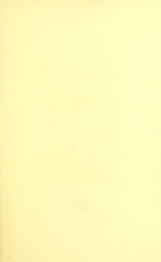 digitised image 3
