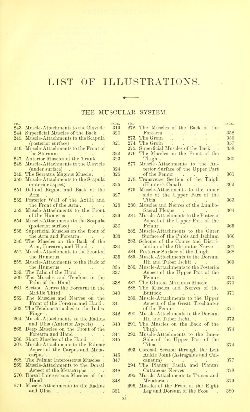 LIST OF ILLUSTRATIONS. THE MUSCULAK SYSTEM. FIG. PAGE. 243. Muscle-Attaclinients to tlie Clavicle 319 244. Superficial Muscles of tlie Back . 320 245. Muscle-Attaclimeiits to the Scapula (posterior surface) . . .321 246. Muscle-Attachments to the Front of the Sternum . . . 322 247. Anterior Muscles of the Trunk . 323 248. Muscle-Attachments to the Clavicle (under surface) .... 324 249. The Serratus Magnus Muscle. . 325 250. Muscle-Attachments to the Scapula (anterior aspect) .... 325 251. Deltoid Region and Back of the Arm 327 252. Posterior Wall of the Axilla and the Front of the Arm . . .328 253. Muscle-Attachments to the Front of the Humerus .... 329 254. Muscle-Attachments to the Sca^^ula (posterior surface) . . . 330 255. Superficial Muscles on the front of the Arm and Forearm. . . 333 256. The Muscles on the Back of the Arm, Forearm, and Hand . . 334 257. Muscle-Attachments to the Front of the Humerus .... 335 258. Muscle-Attachments to the Back of the Humerus .... 335 259. The Palm of the Hand . . .337 260. The Muscles and Tendons in the Palm of the Hand . . .338 261. Section Across the Forearm in the Middle Third .... 340 262. The Muscles and Nerves on the Front of the Forearm and Hand . 341 263. The Tendons attached to the Index Finger 342 264. Muscle-Attachments to the Radius and Ulna (Anterior Aspects) . 343 265. Deep Muscles on the Front of the Forearm and Hand . . . 344 266. Short Muscles of the Hand . . 345 267. Muscle-Attachments to the Palmar Aspect of the Carpus and Meta- carpus 346 268. The Palmar Interosseous Muscles . 347 269. Muscle-Attachments to the Dorsal Aspect of the Metacarpus . . 348 270. Dorsal Interosseous Muscles of the Hand 348 271. Muscle-Attachments to the Radius and Ulna 351 ' FIG. PAGE. 272. The Muscles of the Back of the Forearm 352 273. The Groin 356 274. The Groin 357 275. Superficial Muscles of the Back . 358 276. The Muscles on the Front of the Thigh 360 277. Muscle-Attachments to the An- terior Surface of the Upper Part of the Femur . . . .361 278. Transverse Section of the Thigh (Hunter's Canal) . . . .362 279. Muscle-Attachments to the inner side of the Upper Part of the Tibia 363 280. Muscles and Nerves of the Lumbo- sacral Plexus .... 364 281. Muscle-Attachments to the Posterior Aspect of the Upper Part of the Femur 365 282. Muscle-Attachments to the Outer Surface of the Pubis and Ischium 366 283. Scheme of the Course and Distri- bution of the Obturator Nerve . 367 284. Posterior Surface of the Thigh . 368 285. Muscle-Attachments to the Dorsum Ilii and Tuber Ischii . . .369 286. Muscle-Attachments to the Posterior j Aspect of the Upper Part of the i Femur 370 287. The Gluteus Maximus Muscle . 370 288. The Muscles and Nerves of the i Buttock 371 289. Muscle-Attachments to the Upj^er Aspect of the Great Trochanter I of the Femur . . .371 ' 290. Muscle-Attachments to the Dorsum I Ilii and Tuber Ischii . . .373 ' 291. The Muscles on the Back of the Thigh 374 292. Muscle-Attachments to the Iimer I Side of the Upper Part of the ! Tibia 374 293. Coronal Section through the Left Ankle Joint (Astragalus and Cal- 1 caneum) 377 I 294. The Plantar Fascia and Plantar 1 Cutaneous Nerves . . . 378 ! 295. Muscle-Attachments to Tarsus and I Metatarsus 379 296. Muscles of the Front of the Right ' Leg and Dorsum of the Foot . 380