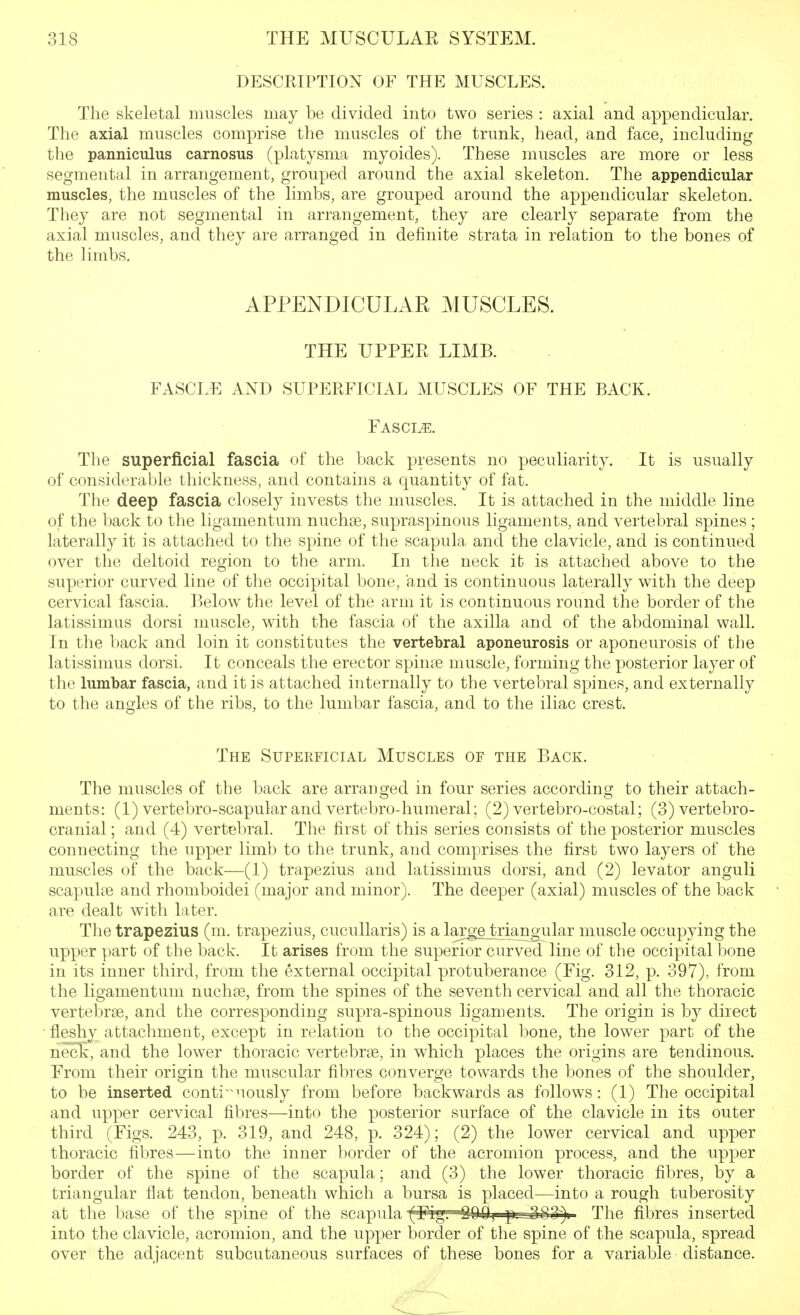 DESCRIPTION OF THE MUSCLES. The skeletal muscles may be divided into two series : axial and appendicular. The axial muscles comprise the muscles of the trunk, head, and face, including the panniculus carnosus (platysma myoides). These muscles are more or less segmental in arrangement, grouped around the axial skeleton. The appendicular muscles, the muscles of the limbs, are grouped around the appendicular skeleton. They are not segmental in arrangement, they are clearly separate from the axial muscles, and they are arranged in definite strata in relation to the bones of the limbs. APPENDICULAR MUSCLES. THE UPPER LIMB. FASCLE AND SUPERFICIAL MUSCLES OF THE BACK. Fascia. The superficial fascia of the back presents no peculiarity. It is usually of considerable thickness, and contains a quantity of fat. The deep fascia closely invests the muscles. It is attached in the middle line of the back to the ligamentum nuchse, supraspinous ligaments, and vertebral spines ; laterally it is attached to the spine of the scapula and the clavicle, and is continued over the deltoid region to the arm. In the neck it is attached above to the superior curved line of the occipital bone, and is continuous laterally with the deep cervical fascia. Below the level of the arm it is continuous round the border of the latissimus dorsi muscle, with the fascia of the axilla and of the abdominal wall. In the back and loin it constitutes the vertebral aponeurosis or aponeurosis of the latissimus dorsi. It conceals the erector spinte muscle, forming the posterior layer of the lumbar fascia, a.nd it is attached internally to the vertebral spines, and externally to the angles of the ribs, to the lumbar fascia, and to the iliac crest. The Superficial Muscles of the Back. The muscles of the back are arranged in four series according to their attach- ments: (1) vertebro-scapular and vertebro-humeral; (2) vertebro-costal; (3) vertebro- cranial; and (4) vertebral. The first of this series consists of the posterior muscles connecting the upper limb to the trunk, and comprises the first two layers of the muscles of the back—(1) trapezius and latissimus dorsi, and (2) levator anguli scapuke and rhomboidei (major and minor). The deeper (axial) muscles of the back are dealt with later. The trapezius (m. trapezius, cucullaris) is a lai;ge triangular muscle occupying the upper part of the back. It arises from the superior curved line of the occipital bone in its inner third, from the external occipital protuberance (Fig. 312, p. 397), from the ligamentum nuchse, from the spines of the seventh cervical and all the thoracic vertebrae, and the corresponding supra-spinous ligaments. The origin is by direct ■ fleshy attachment, except in relation to the occipital bone, the lower part of the neck, and the lower thoracic vertebrae, in which places the origins are tendinous. From their origin the muscular fibres converge towards the bones of the shoulder, to be inserted conti-^nously from before backwards as follows: (1) The occipital and upper cervical fibres—into the posterior surface of the clavicle in its outer third (Figs. 243, p. 319, and 248, p. 324); (2) the lower cervical and upper thoracic fibres—into the inner border of the acromion process, and the upper border of the spine of the scapula; and (3) the lower thoracic fibres, by a triangular flat tendon, beneath which a bursa is placed—into a rough tuberosity at the base of the spine of the scapula f^pTgr-S^Qf-^^^^;^ The fibres inserted into the clavicle, acromion, and the upper border of the spine of the scapula, spread over the adjacent subcutaneous surfaces of these bones for a variable distance.
