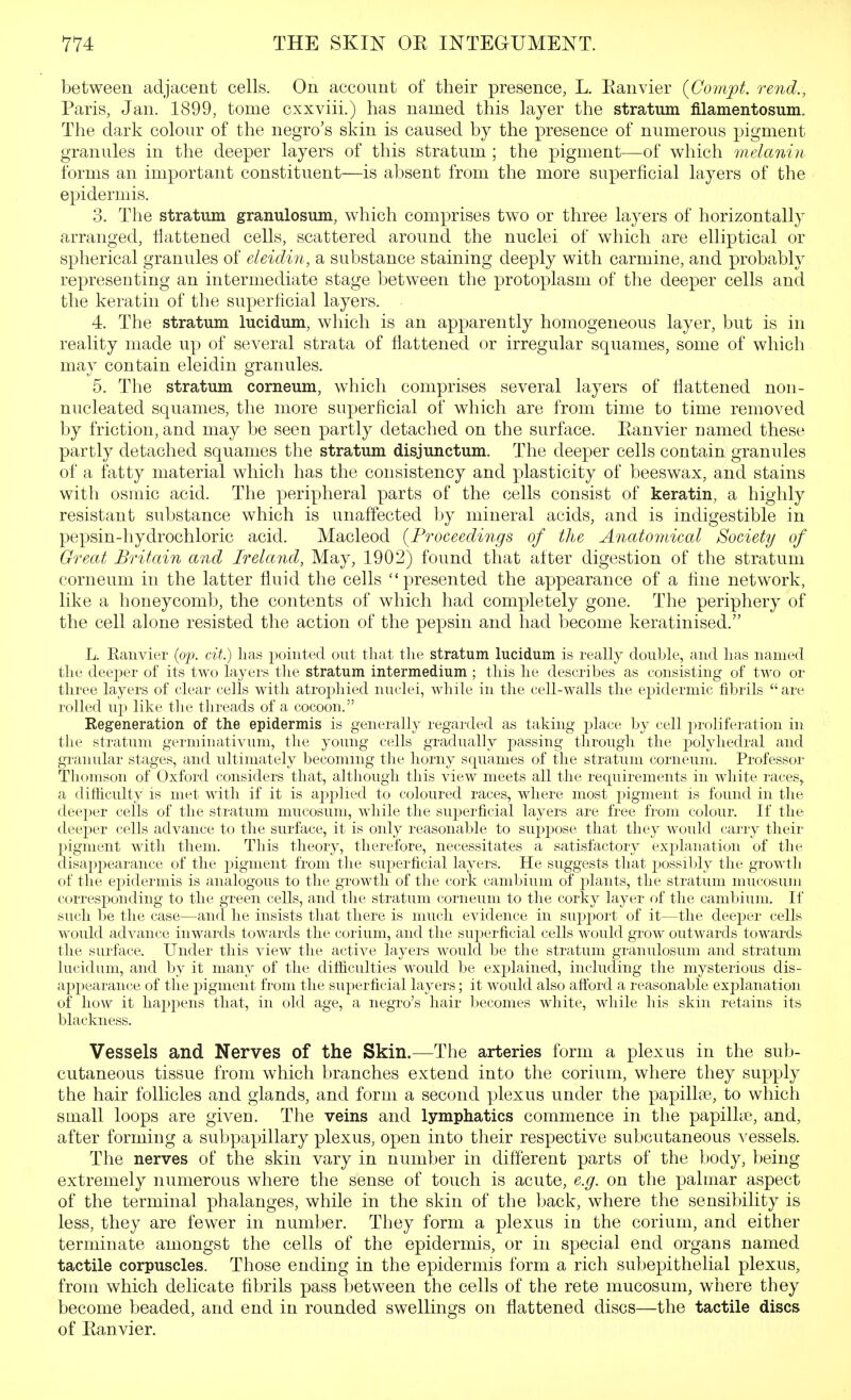 between adjacent cells. On account of their presence, L. Eanvier {Conift. rend., Paris, Jan. 1899, tome cxxviii.) has named this layer the stratum filamentosum. The dark colour of the negro's skin is caused by the presence of numerous pigment granules in the deeper layers of this stratum ; the pigment—of which melanin forms an important constituent—is absent from the more superficial layers of the epidermis. 3. The stratum granulosum, which comprises two or three layers of horizontally arranged, flattened cells, scattered around the nuclei of which are elliptical or spherical granules of eleidin, a substance staining deeply with carmine, and probably representing an intermediate stage between the protoplasm of the deeper cells and the keratin of the superficial layers. 4. The stratum lucidum, which is an apparently homogeneous layer, but is in reality made up of several strata of flattened or irregular squames, some of which may contain eleidin granules. 5. The stratum corneum, which comprises several layers of flattened non- nucleated squames, the more superficial of which are from time to time removed by friction, and may be seen partly detached on the surface. Eanvier named these partly detached squames the stratum disjunctum. The deeper cells contain granules of a fatty material which has the consistency and plasticity of beeswax, and stains with osmic acid. The peripheral parts of the cells consist of keratin, a highly resistant substance which is unaffected by mineral acids, and is indigestible in pepsin-hydrochloric acid. Macleod {Proceedings of the Anatomical Society of Great Britain and Ireland, May, 1902) found that after digestion of the stratum corneum in the latter fluid the cells presented the appearance of a fine network, like a honeycomb, the contents of which had completely gone. The periphery of the cell alone resisted the action of the pepsin and had become keratinised. L. Ranvier {op. cit.) lias pointed out that the stratum lucidum is really double, and Las named the deejDer of its two layers tlie stratum intermedium ; this he describes as consisting of two or three layers of clear cells with atro23liied nuclei, while in the cell-walls the epidermic fibrils are rolled up like tlie threads of a cocoon. Regeneration of the epidermis is generally regarded as taking place by cell proliferation in the stratum germinativum, the young cells gradually passing through the polyhedral and granular stages, and ultimately becoming the horny squames of the stratum corneum. Professor Thomson of Oxford considers that, although this view meets all the requirements in white races, a difliculty is met with if it is apj)hed to coloured races, where most pigment is found in the deeper cells of the stratum mucosum, while the sujoerficial layers are free from colour. If the deeper cells advance to the surface, it is only reasonable to sup230se that they would carry their pigment with them. This theory, therefore, necessitates a satisfactory exjDlanation of the disappearance of the j)igment from the superficial layers. He suggests that possibly the growth of the epidermis is analogous to the growth of the cork cambium of plants, the stratum mucosum corresponding to the green cells, and the stratum corneum to the corky layer of the cambium. If such be the case—and he insists that there is much evidence in suj^port of it—the deeper cells would advance inwards towards the corium, and the su23erficial cells would grow outwards towards the surface. Under this view the active layers would be the stratum granulosum and stratum lucidum, and by it man}^ of the difficulties would be exj^lained, including the mysterious dis- ap23earance of the pigment from the superficial layers; it would also afford a reasonable explanation of how it liaj^j^ens that, in old age, a negro's hair becomes white, while his skin retains its blackness. Vessels and Nerves of the Skin.—The arteries form a plexus in the sub- cutaneous tissue from which branches extend into the corium, where they supply the hair follicles and glands, and form a second plexus under the papilhe, to which small loops are given. The veins and lymphatics commence in the papilhe, and, after forming a subpapillary plexus, open into their respective subcutaneous vessels. The nerves of the skin vary in number in different parts of the body, being extremely numerous where the sense of touch is acute, e.g. on the palmar aspect of the terminal phalanges, while in the skin of the back, where the sensibility is less, they are fewer in number. They form a plexus in the corium, and either terminate amongst the cells of the epidermis, or in special end organs named tactile corpuscles. Those ending in the epidermis form a rich subepithelial plexus, from which delicate fibrils pass between the cells of the rete mucosum, where they become beaded, and end in rounded swellings on flattened discs—the tactile discs of Ranvier.