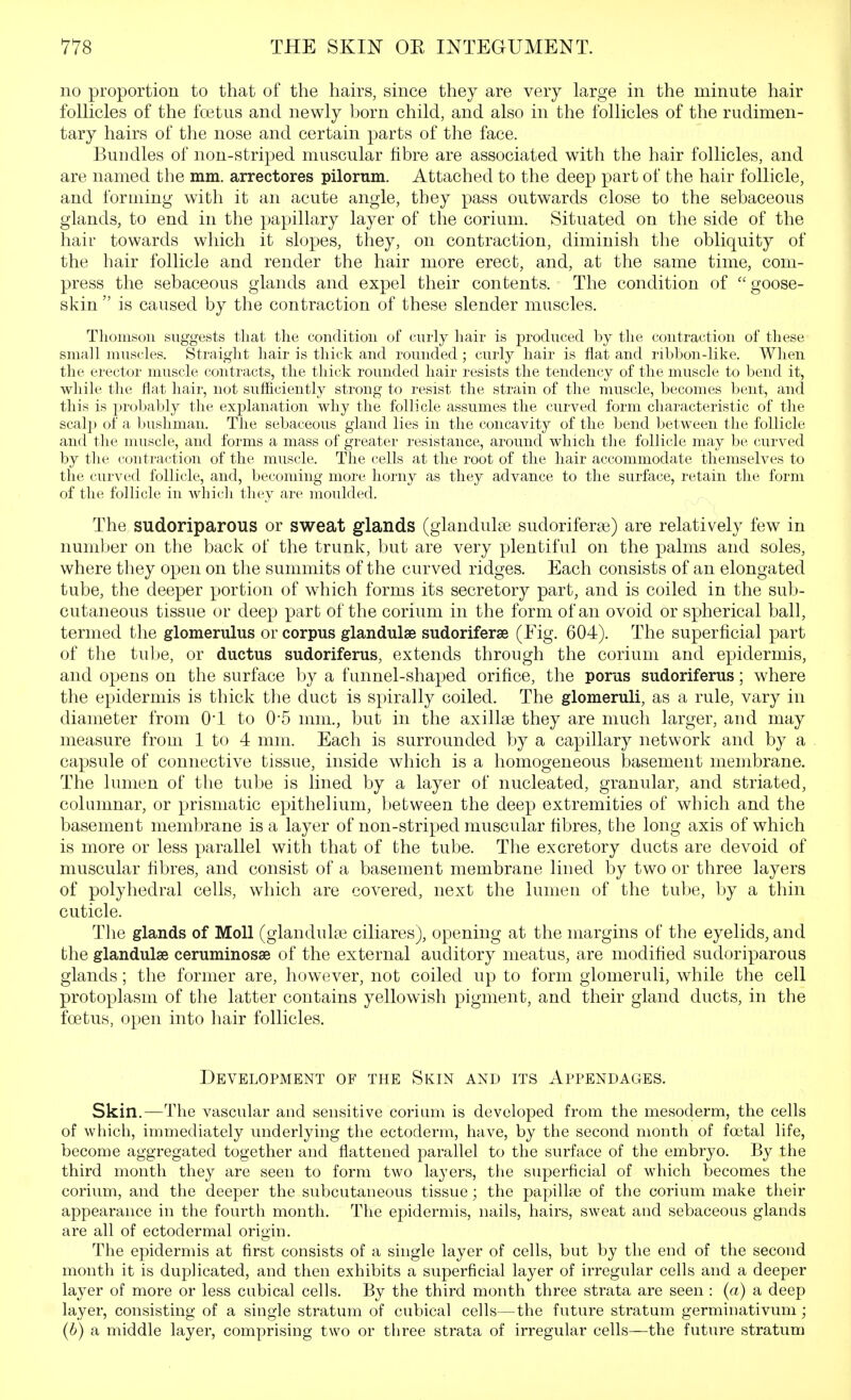no proportion to that of the hairs, since they are very large in the minute hair follicles of the foetus and newly born child, and also in the follicles of the rudimen- tary hairs of the nose and certain parts of the face. Bundles of non-striped muscular fibre are associated with the hair follicles, and are named the mm. arrectores pilorum. Attached to the deep part of the hair follicle, and forming with it an acute angle, they pass outwards close to the sebaceous glands, to end in the papillary layer of the corium. Situated on the side of the hair towards which it slopes, they, on contraction, diminish the obliquity of the hair follicle and render the hair more erect, and, at the same time, com- press the sebaceous glands and expel their contents. The condition of goose- skin is caused by the contraction of these slender muscles. Thomson suggests tliat the condition of curly liair is produced by tlie contraction of these small muscles. Straight hair is thick and rounded ; curly hair is flat and ribbon-like. When the erector muscle contracts, the thick rounded hair resists the tendency of the muscle to bend it, while the flat hair, not sufficiently strong to resist the strain of the muscle, becomes bent, and this is probably the explanation why the follicle assumes the curved form characteristic of the scalp of a bushman. The sebaceous gland lies in the concavity of the bend between the follicle and the muscle, and forms a mass of greater resistance, around which the follicle may be curved by the contraction of the muscle. The cells at the root of the hair accommodate themselves to the curved follicle, and, becoming more horny as they advance to the surface, retain the form of the follicle in which they are moulded. The sudoriparous or sweat glands (glandulte sudoriferas) are relatively few in number on the back of the trunk, but are very plentiful on the palms and soles, where they open on the summits of the curved ridges. Each consists of an elongated tube, the deeper portion of which forms its secretory part, and is coiled in the sub- cutaneous tissue or deep part of the corium in the form of an ovoid or spherical ball, termed the glomerulus or corpus glandulae sudoriferse (Eig. 604). The superficial part of the tube, or ductus sudoriferus, extends through the corium and epidermis, and opens on the surface by a funnel-shaped orifice, the porus sudoriferus; where the epidermis is thick the duct is spirally coiled. The glomeruli, as a rule, vary in diameter from 0*1 to 0*5 nnn., but in the axilla? they are much larger, and may measure from 1 to 4 mm. Each is surrounded by a capillary network and by a capsule of connective tissue, inside which is a homogeneous basement membrane. The lumen of the tube is lined by a layer of nucleated, granular, and striated, columnar, or prismatic epithelium, between the deep extremities of which and the basement membrane is a layer of non-striped muscular fibres, the long axis of which is more or less parallel with that of the tube. The excretory ducts are devoid of muscular fibres, and consist of a basement membrane lined by two or three layers of polyhedral cells, which are covered, next the lumen of the tube, by a thin cuticle. Tlie glands of Moll (glandulae ciliares), opening at the margins of the eyelids, and the glandulae ceruminosse of the external auditory meatus, are modified sudoriparous glands; the former are, however, not coiled up to form glomeruli, while the cell protoplasm of the latter contains yellowish pigment, and their gland ducts, in the foetus, open into hair follicles. Development of the Skin and its Appendages. Skin.—The vascular and sensitive corium is developed from the mesoderm, the cells of which, immediately underlying the ectoderm, have, by the second month of footal life, become aggregated together and flattened parallel to the surface of the embryo. By the third month they are seen to form two layers, the superficial of which becomes the corium, and the deeper the subcutaneous tissue; the papillae of the corium make their appearance in the fourth month. The epidermis, nails, hairs, sweat and sebaceous glands are all of ectodermal origin. The epidermis at first consists of a single layer of cells, but by the end of the second month it is duplicated, and then exhibits a superficial layer of irregular cells and a deeper layer of more or less cubical cells. By the third month three strata are seen : (a) a deep layer, consisting of a single stratum of cubical cells—the future stratum germinativum ; (b) a middle layer, comprising two or three strata of irregular cells—the future stratum