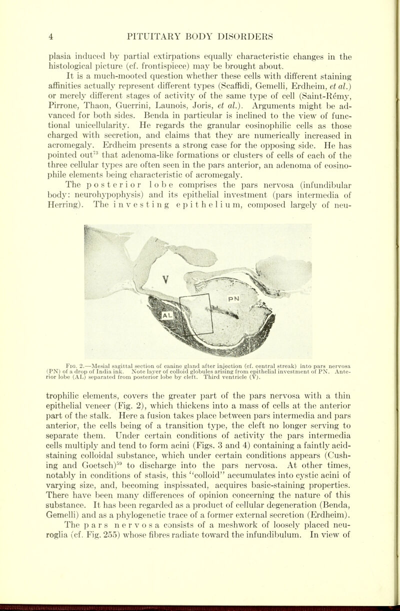 plasia induced by partial extirpations equally characteristic changes in the histological picture (cf. frontispiece) may be brought about. It is a much-mooted question whether these cells with different staining affinities actually represent chfferent types (Scaffich, Gemelli, Erdheim, et al.) or merely chfferent stages of activity of the same type of cell (Saint-Remy, Pirrone, Thaon, Guerrini, Launois, Joris, et al.). Arguments might be ad- vanced for both sides. Benda in particular is inclined to the view of func- tional unicellularity. He regards the granular eosinophilic cells as those charged with secretion, and claims that they are numerically increased in acromegaly. Erdheim presents a strong case for the opposing side. He has pointed out'^ that adenoma-like formations or clusters of cells of each of the three cellular types are often seen in the pars anterior, an adenoma of eosino- phile elements being characteristic of acromegaly. The posterior lobe comprises the pars nervosa (infundibular body: neurohypophysis) and its epithelial investment (pars intermedia of Herring). The investing epithelium, composed largely of neu- Fig. 2.—Mesial sagittal section of canine gland after injection (cf. central streak) into pars nervosa (_PN) of a drop of India ink. Note layer of colloid globules arising from epithelial investment of PN. Ante- rior lobe (AL) separated from posterior lobe by cleft. Third ventricle (V). trophilic elements, covers the greater part of the pars nervosa with a thin epithelial veneer (Fig. 2), which thickens into a mass of cells at the anterior part of the stalk. Here a fusion takes place between pars intermedia and pars anterior, the cells being of a transition type, the cleft no longer serving to separate them. Under certain conditions of activity the pars intermedia cells multiply and tend to form acini (Figs. 3 and 4) containing a faintly acid- staining colloidal substance, which under certain conchtions appears (Gush- ing and Goetsch)'^^ to discharge into the pars nervosa. At other times, notably in conditions of stasis, this ''colloid accumulates into cystic acini of varying size, and, becoming inspissated, acquires basic-staining properties. There have been many differences of opinion concerning the nature of this substance. It has been regarded as a product of cellular degeneration (Benda, Gemelh) and as a phylogenetic trace of a former external secretion (Erdheim). The pars nervosa consists of a meshwork of loosely placed neu- roglia (cf. Fig. 255) whose fibres radiate toward the infundibulum. In view of