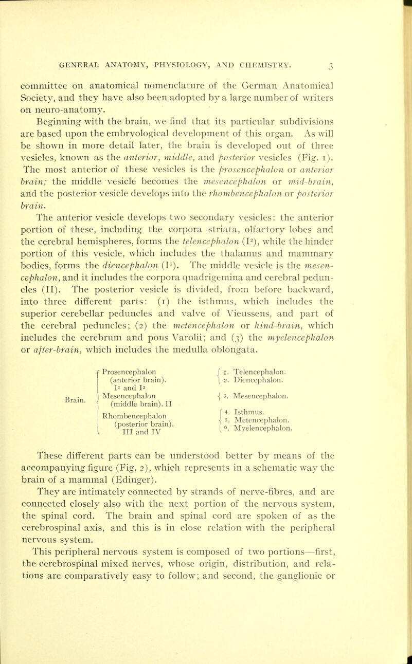 committee on anatomical nomenclature of the German Anatomical Society, and they have also been adopted by a large number of writers on neuro-anatomy. Beginning with the brain, we find that its particular subdivisions are based upon the embryological development of this organ. As will be shown in more detail later, the brain is developed out of three vesicles, known as the anterior, middle, and posterior vesicles (Fig. i). The most anterior of these vesicles is the prosencephalon or anterior brain; the middle vesicle becomes the mesencephalon or mid-brain, and the posterior vesicle develops into the rhombencephalon or posterior brain. The anterior vesicle develops two secondary vesicles: the anterior portion of these, including the corpora striata, olfactory lobes and the cerebral hemispheres, forms the telencephalon (I2), while the hinder portion of this vesicle, which includes the thalamus and mammary bodies, forms the diencephalon (I1). The middle vesicle is the mesen- cephalon, and it includes the corpora quadrigemina and cerebral pedun- cles (II). The posterior vesicle is divided, from before backward, into three different parts: (i) the isthmus, which includes the superior cerebellar peduncles and valve of Vieussens, and part of the cerebral peduncles; (2) the metencephalon or hind-brain, which includes the cerebrum and pons Varolii; and (3) the myelencephalon or after-brain, which includes the medulla oblongata. f Prosencephalon / 1. Telencephalon. I (anterior brain). \ 2. Diencephalon. I I1 and I2 ■p . 1 Mesencephalon \ 3. Mesencephalon. Brain. ; (middle brain). II I Rhombencephalon \ ^^mUS 1 i z , • r , • N 1 5. Metencephalon. (posterior brain). a tv/t i i. 1 I III and IV L ' MyelencePhalon- These different parts can be understood better by means of the accompanying figure (Fig. 2), which represents in a schematic way the brain of a mammal (Edinger). They are intimately connected by strands of nerve-fibres, and are connected closely also with the next portion of the nervous system, the spinal cord. The brain and spinal cord are spoken of as the cerebrospinal axis, and this is in close relation with the peripheral nervous system. This peripheral nervous system is composed of two portions—first, the cerebrospinal mixed nerves, whose origin, distribution, and rela- tions are comparatively easy to follow; and second, the ganglionic or