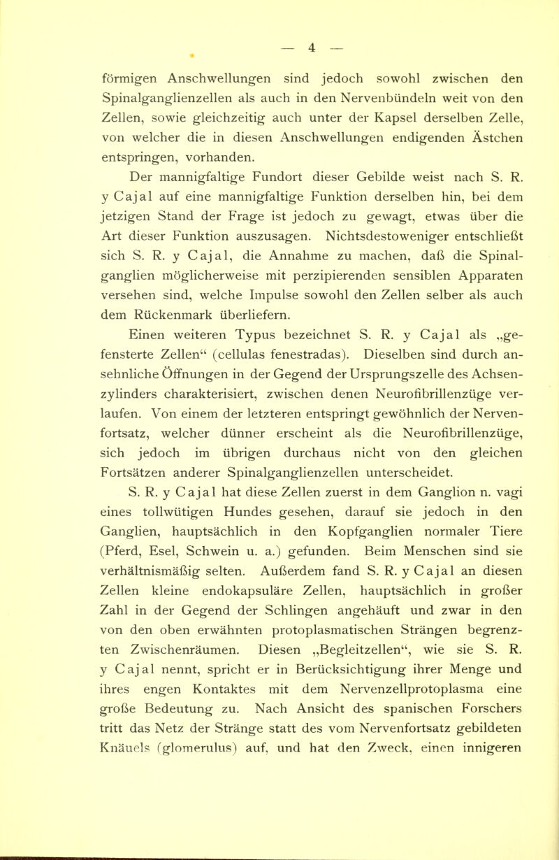 formigen Anschwellungen sind jedoch sowohl zwischen den Spinalganglienzellen als auch in den Nervenbiindeln weit von den Zellen, sowie gleichzeitig auch unter der Kapsel derselben Zelle, von welcher die in diesen Anschwellungen endigenden Astchen entspringen, vorhanden. Der mannigfaltige Fundort dieser Gebilde weist nach S. R. y Cajal auf eine mannigfaltige Funktion derselben hin, bei dem jetzigen Stand der Frage ist jedoch zu gewagt, etwas liber die Art dieser Funktion auszusagen. Nichtsdestoweniger entschlieftt sich S. R. y Cajal, die Annahme zu machen, daft die Spinal- ganglien moglicherweise mit perzipierenden sensiblen Apparaten versehen sind, welche Impulse sowohl den Zellen selber als auch dem Riickenmark iiberliefern. Einen weiteren Typus bezeichnet S. R. y Cajal als ,,ge- fensterte Zellen'' (cellulas fenestradas). Dieselben sind durch an- sehnliche Oifnungen in der Gegend der Ursprungszelle des Achsen- zylinders charakterisiert, zwischen denen Neurofibrillenzlige ver- laufen. Von einem der letzteren entspringt gewohnlich der Nerven- fortsatz, welcher diinner erscheint als die Neurofibrillenziige, sich jedoch im iibrigen durchaus nicht von den gleichen Fortsatzen anderer Spinalganglienzellen unterscheidet. S. R. y Cajal hat diese Zellen zuerst in dem Ganglion n. vagi eines tollwiitigen Hundes gesehen, darauf sie jedoch in den Ganglien, hauptsachlich in den Kopfganglien normaler Tiere (Pferd, Esel, Schwein u. a.) gefunden. Beim Menschen sind sie verhaltnismaftig selten. Aufterdem fand S. R. y Cajal an diesen Zellen kleine endokapsulare Zellen, hauptsachlich in grofter Zahl in der Gegend der Schlingen angehauft und zwar in den von den oben erwahnten protoplasmatischen Strangen begrenz- ten Zwischenraumen. Diesen „Begleitzellen, wie sie S. R, y Cajal nennt, spricht er in Beriicksichtigung ihrer Menge und ihres engen Kontaktes mit dem Nervenzellprotoplasma eine grofte Bedeutung zu. Nach Ansicht des spanischen Forschers tritt das Netz der Strange statt des vom Nervenfortsatz gebildeten Knauels (glomerulus) auf, und hat den Zweck, einen innigeren