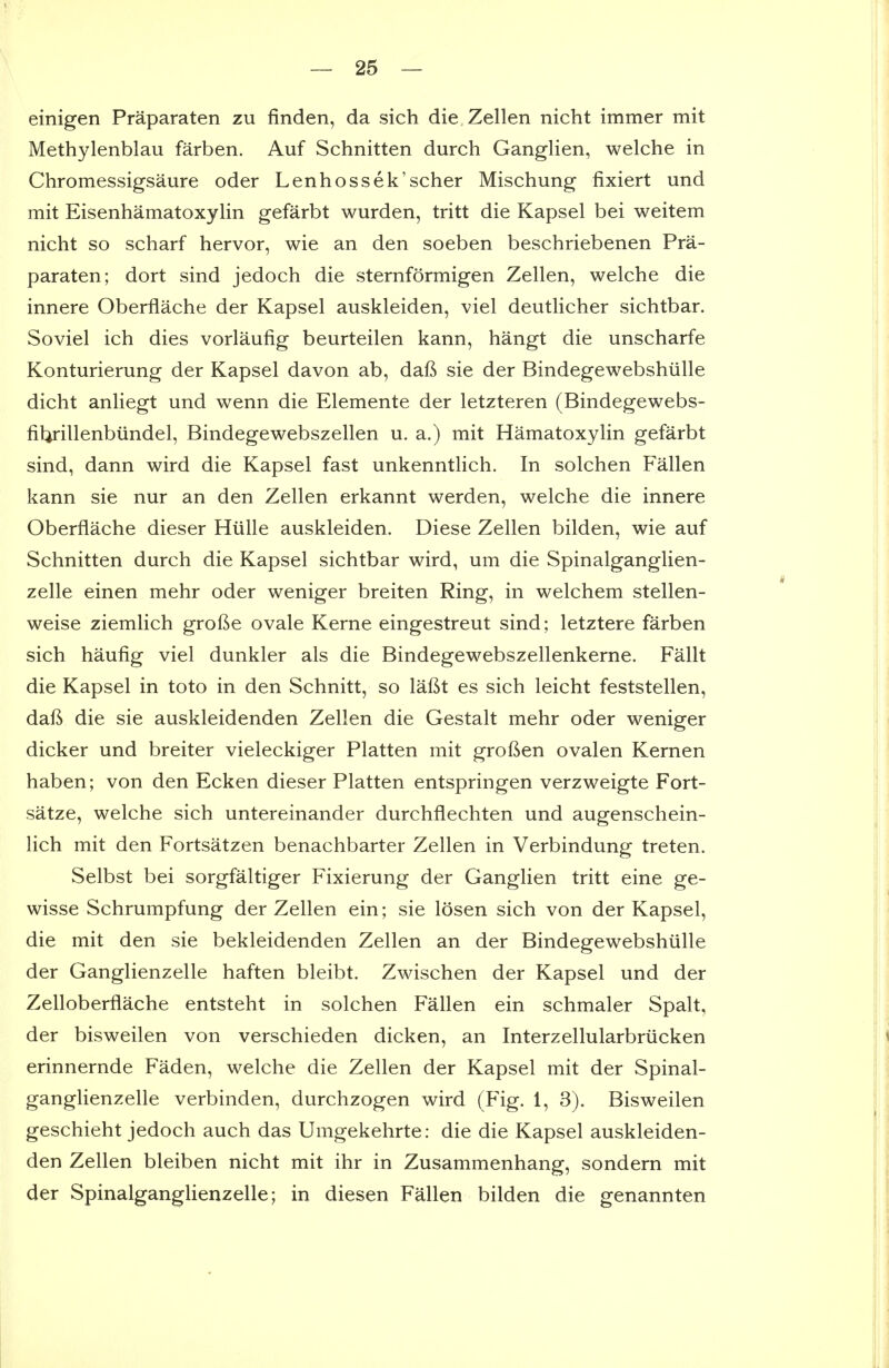 einigen Praparaten zu finden, da sich die Zellen nicht immer mit Methylenblau farben. Auf Schnitten durch Ganglien, welche in Chromessigsaure oder Lenhossek'scher Mischung fixiert und mit Eisenhamatoxylin gefarbt wurden, tritt die Kapsel bei weitem nicht so scharf hervor, wie an den soeben beschriebenen Pra- paraten; dort sind jedoch die sternformigen Zellen, welche die innere Oberflache der Kapsel auskleiden, viel deutlicher sichtbar. Soviel ich dies vorlaufig beurteilen kann, hangt die unscharfe Konturierung der Kapsel davon ab, dafi sie der Bindegewebshiille dicht anliegt und wenn die Elemente der letzteren (Bindegewebs- fitirillenbiindel, Bindegewebszellen u. a.) mit Hamatoxylin gefarbt sind, dann wird die Kapsel fast unkenntlich. In solchen Fallen kann sie nur an den Zellen erkannt werden, welche die innere Oberflache dieser Hiille auskleiden. Diese Zellen bilden, wie auf Schnitten durch die Kapsel sichtbar wird, um die Spinalganglien- zelle einen mehr oder weniger breiten Ring, in welchem stellen- weise ziemlich grofte ovale Kerne eingestreut sind; letztere farben sich haufig viel dunkler als die Bindegewebszellenkerne. Fallt die Kapsel in toto in den Schnitt, so laftt es sich leicht feststellen, daft die sie auskleidenden Zellen die Gestalt mehr oder weniger dicker und breiter vieleckiger Platten mit groften ovalen Kernen haben; von den Ecken dieser Platten entspringen verzweigte Fort- satze, welche sich untereinander durchflechten und augenschein- lich mit den Fortsatzen benachbarter Zellen in Verbindung treten. Selbst bei sorgfaltiger Fixierung der Ganglien tritt eine ge- wisse Schrumpfung der Zellen ein; sie losen sich von der Kapsel, die mit den sie bekleidenden Zellen an der Bindegewebshiille der Ganglienzelle haften bleibt. Zwischen der Kapsel und der Zelloberflache entsteht in solchen Fallen ein schmaler Spalt, der bisweilen von verschieden dicken, an Interzellularbriicken erinnernde Faden, welche die Zellen der Kapsel mit der Spinal- ganglienzelle verbinden, durchzogen wird (Fig. 1, 3). Bisweilen geschieht jedoch auch das Umgekehrte: die die Kapsel auskleiden- den Zellen bleiben nicht mit ihr in Zusammenhang, sondern mit der Spinalganglienzelle; in diesen Fallen bilden die genannten