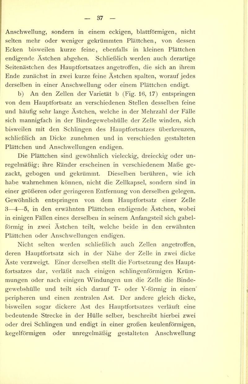 Anschwellung, sondern in einem eckigen^ blattformigen, nicht selten mehr oder weniger gekriimmten Plattchen, von dessen Ecken bisweilen kurze feine, ebenfalls in kleinen Plattchen endigende Astchen abgehen. SchlieBlich werden auch derartige Seitenastchen des Hauptfortsatzes angetroffen, die sich an ihrem Ende zunachst in zwei kurze feine Astchen spalten, worauf jedes derselben in einer Anschwellung oder einem Plattchen endigt. b) An den Zellen der Varietat b (Fig. 16, 17) entspringen von dem Hauptfortsatz an verschiedenen Stellen desselben feine und haufig sehr lange Astchen, welche in der Mehrzahl der Falle sich mannigfach in der Bindegewebshiille der Zelle winden, sich bisweilen mit den Schlingen des Hauptfortsatzes iiberkreuzen, schliefilich an Dicke zunehmen und in verschieden gestalteten Plattchen und Anschwellungen endigen. Die Plattchen sind gewohnlich vieleckig, dreieckig oder un- regelmaftig; ihre Rander erscheinen in verschiedenem Mafie ge- zackt, gebogen und gekriimmt. Dieselben beriihren, wie ich habe wahrnehmen konnen, nicht die Zellkapsel, sondern sind in einer grofieren oder geringeren Entfernung von derselben gelegen. Gewohnlich entspringen von dem Hauptfortsatz einer Zelle 3—4—5, in den erwahnten Plattchen endigende Astchen, wobei in einigen Fallen eines derselben in seinem Anfangsteil sich gabel- formig in zwei Astchen teilt, welche beide in den erwahnten Plattchen oder Anschwellungen endigen. Nicht selten werden schliefilich auch Zellen angetroffen, deren Hauptfortsatz sich in der Nahe der Zelle in zwei dicke Aste verzweigt. Einer derselben stellt die Fortsetzung des Haupt- fortsatzes dar, verlafit nach einigen schlingenformigen Kriim- mungen oder nach einigen Windungen um die Zelle die Binde- gewebshiille und teilt sich darauf T- oder Y-formig in einen' peripheren und einen zentralen Ast. Der andere gleich dicke, bisweilen sogar dickere Ast des Hauptfortsatzes verlauft eine bedeutende Strecke in der Hiille selber, beschreibt hierbei zwei oder drei Schlingen und endigt in einer grofien keulenformigen, kegelformigen oder unregelmafiig gestalteten Anschwellung V