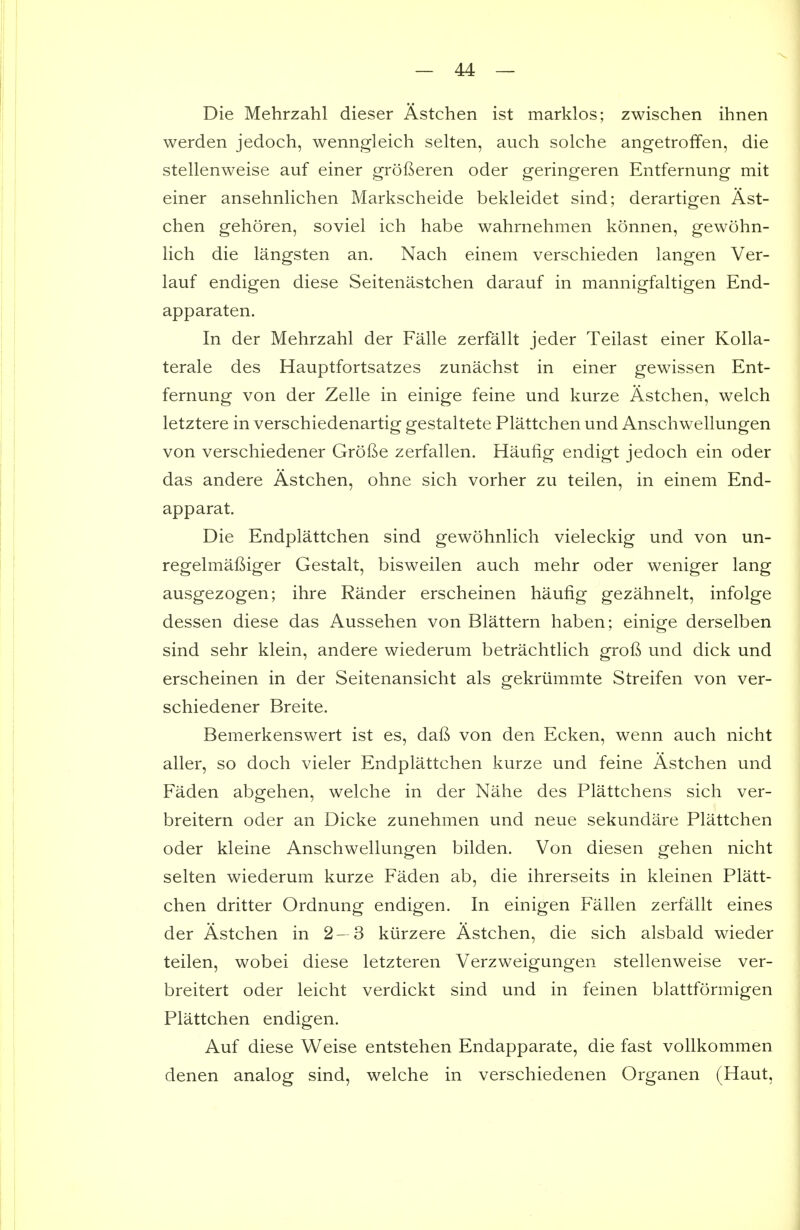 Die Mehrzahl dieser Astchen ist marklos; zwischen ihnen werden jedoch, wenngleich selten, auch solche angetroffen, die stellenweise auf einer grofieren oder geringeren Entfernung mit einer ansehnlichen Markscheide bekleidet sind; derartigen Ast- chen gehoren, soviel ich habe wahrnehmen konnen, gewohn- lich die langsten an. Nach einem verschieden langen Ver- lauf endigen diese Seitenastchen darauf in mannigfaltigen End- apparaten. In der Mehrzahl der Falle zerfallt jeder Teilast einer Kolla- terale des Hauptfortsatzes zunachst in einer gewissen Ent- fernung von der Zelle in einige feine und kurze Astchen, welch letztere in verschiedenartig gestaltete Plattchen und Anschwellungen von verschiedener Grofie zerfallen. Haufig endigt jedoch ein oder das andere Astchen, ohne sich vorher zu teilen, in einem End- apparat. Die Endplattchen sind gewohnlich vieleckig und von un- regelmafiiger Gestalt, bisweilen auch mehr oder weniger lang ausgezogen; ihre Rander erscheinen haufig gezahnelt, infolge dessen diese das Aussehen von Blattern haben; einige derselben sind sehr klein, andere wiederum betrachtlich groB und dick und erscheinen in der Seitenansicht als gekriimmte Streifen von ver- schiedener Breite. Bemerkenswert ist es, daft von den Ecken, wenn auch nicht aller, so doch vieler Endplattchen kurze und feine Astchen und Faden abgehen, welche in der Nahe des Plattchens sich ver- breitern oder an Dicke zunehmen und neue sekundare Plattchen oder kleine Anschwellungen bilden. Von diesen gehen nicht selten wiederum kurze Faden ab, die ihrerseits in kleinen Platt- chen dritter Ordnung endigen. In einigen Fallen zerfallt eines der Astchen in 2- 3 kiirzere Astchen, die sich alsbald wieder teilen, wobei diese letzteren Verzweigungen stellenweise ver- breitert oder leicht verdickt sind und in feinen blattformigen Plattchen endigen. Auf diese Weise entstehen Endapparate, die fast vollkommen denen analog sind, welche in verschiedenen Organen (Haut,