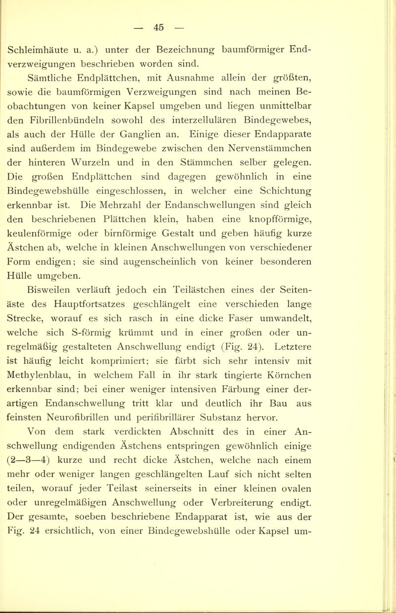 Schleimhaute u. a.) unter der Bezeichnung baumformiger End- verzweigungen beschrieben worden sind. Samtliche Endplattchen, mit Ausnahme allein der grofiten, sowie die baumformigen Verzweigungen sind nach meinen Be- obachtungen von keiner Kapsel umgeben und liegen unmittelbar den Fibrillenbiindeln sowohl des interzellularen Bindegewebes, als auch der Hiille der Ganglien an. Einige dieser Endapparate sind aufierdem im Bindegewebe zwischen den Nervenstammchen der hinteren Wurzeln und in den Stammchen selber gelegen. Die grofien Endplattchen sind dagegen gewohnlich in eine Bindegewebshiille eingeschlossen, in welcher eine Schichtung erkennbar ist. Die Mehrzahl der Endanschwellungen sind gleich den beschriebenen Plattchen klein, haben eine knopfformige, keulenformige oder birnformige Gestalt und geben haufig kurze Astchen ab, welche in kleinen Anschwellungen von verschiedener Form endigen; sie sind augenscheinlich von keiner besonderen Hiille umgeben. Bisweilen verlauft jedoch ein Teilastchen eines der Seiten- aste des Hauptfortsatzes geschlangelt eine verschieden lange Strecke, worauf es sich rasch in eine dicke Faser umwandelt, welche sich S-formig kriimmt und in einer groBen oder un- regelmaftig gestalteten Anschwellung endigt (Fig. 24). Letztere ist haufig leicht komprimiert; sie farbt sich sehr intensiv mit Methylenblau, in welchem Fall in ihr stark tingierte Kornchen erkennbar sind; bei einer weniger intensiven Farbung einer der- artigen Endanschwellung tritt klar und deutlich ihr Bau aus feinsten Neurofibrillen und perifibrillarer Substanz hervor. Von dem stark verdickten Abschnitt des in einer An- schwellung endigenden Astchens entspringen gewohnlich einige (2—3—4) kurze und recht dicke Astchen, welche nach einem mehr oder weniger langen geschlangelten Lauf sich nicht selten teilen, worauf jeder Teilast seinerseits in einer kleinen ovalen oder unregelmaftigen Anschwellung oder Verbreiterung endigt. Der gesamte, soeben beschriebene Endapparat ist, wie aus der Fig. 24 ersichtlich, von einer Bindegewebshiille oder Kapsel um-