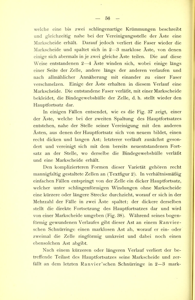 welche eine bis zwei schlingenartige Kriimmungen beschreibt und gleichzeitig nahe bei der Vereinigungsstelle der Aste eine Markscheide erhalt. Darauf jedoch verliert die Faser wieder die Markscheide und spaltet sich in 2—3 marklose Aste, von denen einige sich abermals in je zwei gleiche Aste teilen. Die auf diese Weise entstandenen 2—4 Aste winden sich, wobei einige langs einer Seite der Zelle, andere langs der anderen verlaufen und nach allmahlicher Annaherung mit einander zu einer Faser verschmelzen. Einige der Aste erhalten in diesem Verlauf eine Markscheide. Die entstandene Faser verlaftt, mit einer Markscheide bekleidet, die Bindegewebshiille der Zelle, d. h. stellt wieder den Hauptfortsatz dar. In einigen Fallen entsendet, wie es die Fig. 37 zeigt, einer der Aste, welche bei der zweiten Spaltung des Hauptfortsatzes entstehen, nahe der Stelle seiner Vereinigung mit den anderen Asten, aus denen der Hauptfortsatz sich von neuem bildet, einen recht dicken und langen Ast; letzterer verlauft zunachst geson- dert und vereinigt sich mit dem bereits neuentstandenen Fort- satz an der Stelle, wo derselbe die Bindegewebshiille verlaf^t und eine Markscheide erhalt. Den komplizierteren Formen dieser Varietat gehoren recht mannigfaltig gestaltete Zellen an (Textfigur 2). In verhaltnismaftig einfachen Fallen entspringt von der Zelle ein dicker Hauptfortsatz, welcher unter schlingenformigen Windungen ohne Markscheide eine kiirzere oder langere Strecke durchzieht, worauf er sich in der Mehrzahl der Falle in zwei Aste spaltet; der dickere derselben stellt die direkte Fortsetzung des Hauptfortsatzes dar und wird von einer Markscheide umgeben (Fig. 38). Wahrend seines bogen- formig gewundenen Verlaufes gibt dieser Ast an einem Ranvier- schen Schniirringe einen marklosen Ast ab, worauf er ein- oder zweimal die Zelle ringformig umkreist und dabei noch einen ebensolchen Ast abgibt. Nach einem kiirzeren oder langeren Verlauf verliert der be- treffende Teilast des Hauptfortsatzes seine Markscheide und zer- fallt an dem letzten Ranvier'schen Schniirringe in 2—3 mark-