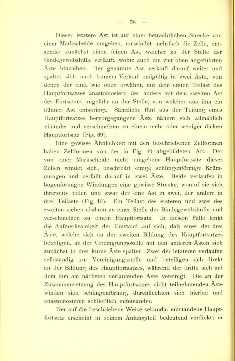 Dieser letztere Ast ist auf einer betrachtlichen Strecke von einer Markscheide umgeben, umwindet mehrfach die Zelle, ent- sendet zunachst einen feinen Ast, welcher zu der Stelle der Bindegewebshiille verlauft, wohin auch die vier oben angefiihrten Aste hinziehen. Der genannte Ast verlauft darauf weiter und spaltet sich nach kurzem Verlauf endgiiltig in zwei Aste, von denen der eine, wie oben erwahnt, mit dem ersten Teilast des Hauptfortsatzes anastomosiert, der andere mit dem zweiten Ast des Fortsatzes ungefahr an der Stelle, von welcher aus ihm ein dunner Ast entspringt. Samtliche fiinf aus der Teilung eines Hauptfortsatzes hervorgegangene Aste nahern sich allmahlich einander und verschmelzen zu einem mehr oder weniger dicken Hauptfortsatz (Fig. 39). Eine gewisse Ahnlichkeit mit den beschriebenen Zellformen haben Zellformen von der in Fig. 40 abgebildeten Art. Der von einer Markscheide nicht umgebene Hauptfortsatz dieser Zellen windet sich, beschreibt einige schlingenformige Kriim- mungen und zerfallt darauf in zwei Aste. Beide verlaufen in bogenformigen Windungen eine gewisse Strecke, worauf sie sich ihrerseits teilen und zwar der eine Ast in zwei, der andere in drei Teilaste (Fig. 40), Ein Teilast des ersteren und zwei des zweiten ziehen alsdann zu einer Stelle der Bindegewebshiille und verschmelzen zu einem Hauptfortsatz. In diesem Falle lenkt die Aufmerksamkeit der Umstand auf sich, dal^ einer der drei Aste, welche sich an der zweiten Bildung des Hauptfortsatzes beteiligen, an der Vereinigungsstelle mit den anderen Asten sich zunachst in drei kurze Aste spaltet. Zwei der letzteren verlaufen selbstandig zur Vereinigungsstelle und beteiligen sich direkt an der Bildung des Hauptfortsatzes, wahrend der dritte sich mit dem ihm am nachsten verlaufenden Aste vereinigt. Die an der Zusammensetzung des Hauptfortsatzes nicht teilnehmenden Aste winden sich schlingenformig, durchflechten sich hierbei und anastomosieren schlieBlich miteinander. Der auf die beschriebene Weise sekundar entstandene Haupt- fortsatz erscheint in seinem Anfangsteil bedeutend verdickt; er