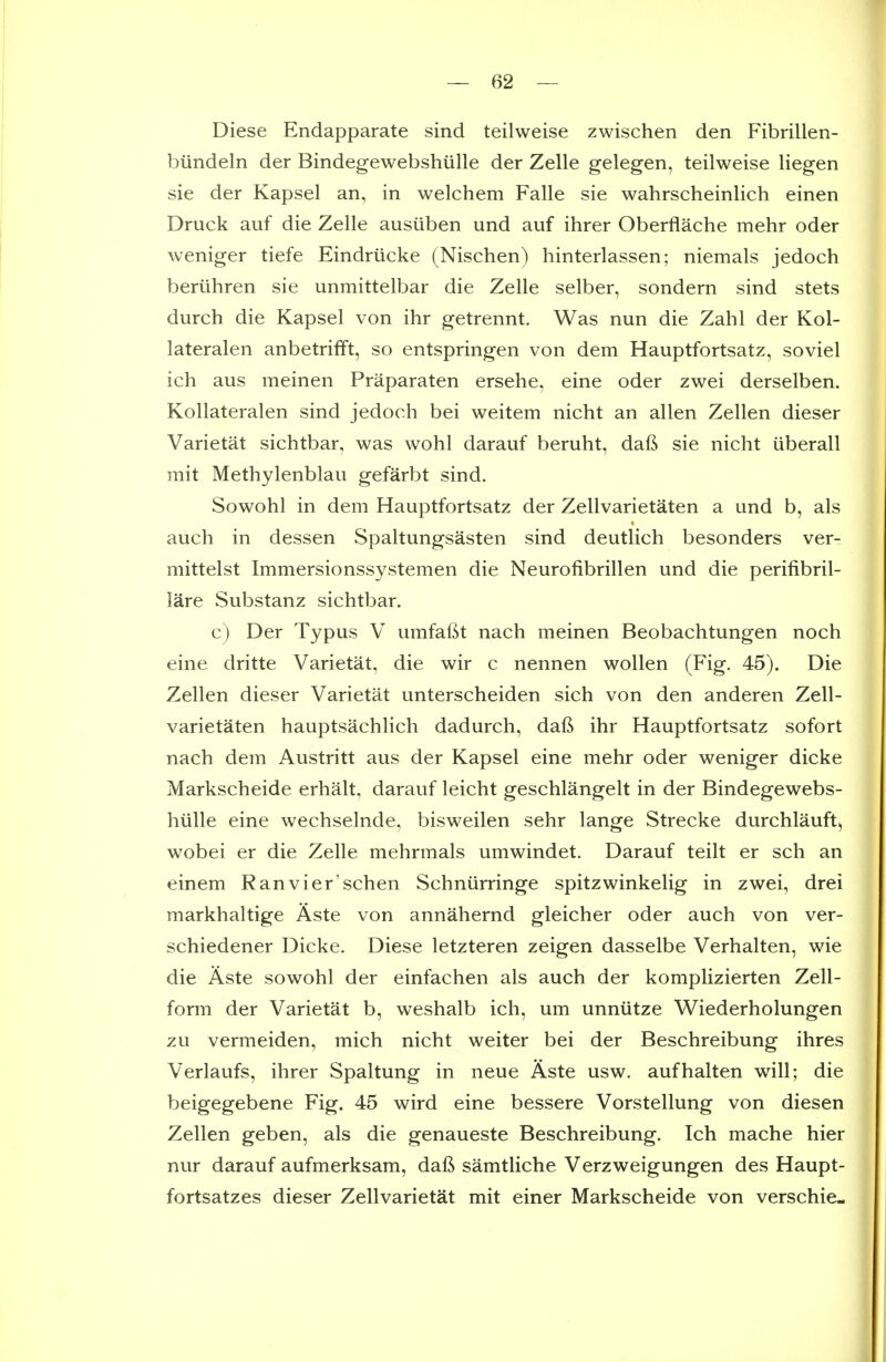 Diese Endapparate sind teilweise zwischen den Fibrillen- biindeln der Bindegewebshiille der Zelle gelegen, teilweise liegen sie der Kapsel an, in welchem Falle sie wahrscheinlich einen Druck auf die Zelle ausiiben und auf ihrer Oberflache mehr oder weniger tiefe Eindrticke (Nischen) hinterlassen; niemals jedoch bertihren sie unmittelbar die Zelle selber, sondern sind stets durch die Kapsel von ihr getrennt. Was nun die Zahl der Kol- lateralen anbetrifft, so entspringen von dem Hauptfortsatz, soviel ich aus meinen Praparaten ersehe, eine oder zwei derselben. Kollateralen sind jedoch bei weitem nicht an alien Zellen dieser Varietat sichtbar, was wohl darauf beruht, daft sie nicht iiberall mit Methylenblau gefarbt sind. Sowohl in dem Hauptfortsatz der Zellvarietaten a und b, als audi in dessen Spaltungsasten sind deutlich besonders ver- mittelst Immersionssystemen die Neurofibrillen und die perifibril- lare Substanz sichtbar. c) Der Typus V umfaftt nach meinen Beobachtungen noch eine dritte Varietat, die wir c nennen woUen (Fig. 45). Die Zellen dieser Varietat unterscheiden sich von den anderen Zell- varietaten hauptsachlich dadurch, daft ihr Hauptfortsatz sofort nach dem Austritt aus der Kapsel eine mehr oder weniger dicke Markscheide erhalt, darauf leicht geschlangelt in der Bindegewebs- hiille eine wechselnde, bisweilen sehr lange Strecke durchlauft^ w^obei er die Zelle mehrmals umwindet. Darauf teilt er sch an einem Ranvier'schen Schniirringe spitzwinkelig in zwei, drei markhaltige Aste von annahernd gleicher oder auch von ver- schiedener Dicke. Diese letzteren zeigen dasselbe Verhalten, wie die Aste sowohl der einfachen als auch der komplizierten Zell- form der Varietat b, weshalb ich, um unniitze Wiederholungen zu vermeiden, mich nicht weiter bei der Beschreibung ihres Verlaufs, ihrer Spaltung in neue Aste usw. aufhalten will; die beigegebene Fig. 45 wird eine bessere Vorstellung von diesen Zellen geben, als die genaueste Beschreibung. Ich mache hier nur darauf aufmerksam, daft samtliche Verzweigungen des Haupt- fortsatzes dieser Zellvarietat mit einer Markscheide von verschie-