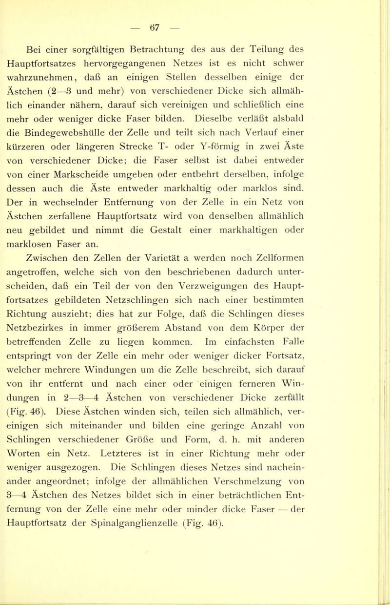 Bei einer sorgfaltigen Betrachtung des aus der Teilung des Hauptfortsatzes hervorgegangenen Netzes ist es nicht schwer wahrzunehmen, dafi an einigen Stellen desselben einige der Astchen (2—3 und mehr) von verschiedener Dicke sich allmah- lich einander nahern, darauf sich vereinigen und schlieftlich eine mehr oder weniger dicke Faser bilden. Dieselbe verlafit alsbald die Bindegewebshiille der Zelle und teilt sich nach Verlauf einer kiirzeren oder langeren Strecke T- oder Y-formig in zwei Aste von verschiedener Dicke; die Faser selbst ist dabei entweder von einer Markscheide umgeben oder entbehrt derselben, infolge dessen auch die Aste entweder markhaltig oder marklos sind. Der in wechselnder Entfernung von der Zelle in ein Netz von Astchen zerfallene Hauptfortsatz wird von denselben allmahlich neu gebildet und nimmt die Gestalt einer markhaltigen oder marklosen Faser an. Zwischen den Zellen der Varietat a werden noch Zellformen angetroffen, welche sich von den beschriebenen dadurch unter- scheiden, dafi ein Teil der von den Verzweigungen des Haupt- fortsatzes gebildeten Netzschlingen sich nach einer bestimmten Richtung auszieht; dies hat zur Folge, dafi die Schlingen dieses Netzbezirkes in immer grofterem Abstand von dem Korper der betrelfenden Zelle zu liegen kommen. Im einfachsten Falle entspringt von der Zelle ein mehr oder weniger dicker Fortsatz, welcher mehrere Windungen um die Zelle beschreibt, sich darauf von ihr entfernt und nach einer oder einigen ferneren Win- dungen in 2—3—4 Astchen von verschiedener Dicke zerfallt (Fig. 46). Diese Astchen winden sich, teilen sich allmahlich, ver- einigen sich miteinander und bilden eine geringe Anzahl von Schlingen verschiedener Grofie und Form, d. h. mit anderen Worten ein Netz. Letzteres ist in einer Richtung mehr oder weniger ausgezogen. Die Schlingen dieses Netzes sind nachein- ander angeordnet; infolge der allmahlichen Verschmelzung von 3—4 Astchen des Netzes bildet sich in einer betrachtlichen Ent- fernung von der Zelle eine mehr oder minder dicke Faser — der Hauptfortsatz der Spinalganglienzelle (Fig. 46).