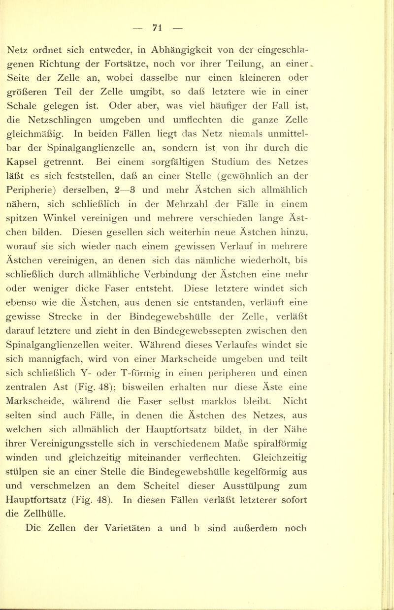 Netz ordnet sich entweder, in Abhangigkeit von der eingeschla- genen Richtung der Fortsatze, noch vor ihrer Teilung, an einer. Seite der Zelle an, wobei dasselbe nur einen kleineren oder grofieren Teil der Zelle umgibt, so daft letztere wie in einer Schale gelegen ist. Oder aber, was viel haufiger der Fall ist, die Netzschlingen umgeben und umflechten die ganze Zelle gleichmafiig. In beiden Fallen liegt das Netz niemals unmittel- bar der Spinalganglienzelle an, sondern ist von ihr durch die Kapsel getrennt. Bei einem sorgfaltigen Studium des Netzes laftt es sich feststellen, daft an einer Stelle (gewohnlich an der Peripherie) derselben, 2—3 und mehr Astchen sich allmahlich nahern, sich schlieftlich in der Mehrzahl der Falle in einem spitzen Winkel vereinigen und mehrere verschieden lange Ast- chen bilden. Diesen gesellen sich weiterhin neue Astchen hinzu, worauf sie sich wieder nach einem gewissen Verlauf in mehrere Astchen vereinigen, an denen sich das namliche wiederholt, bis schlieftlich durch allmahliche Verbindung der Astchen eine mehr oder weniger dicke Faser entsteht. Diese letztere windet sich ebenso wie die Astchen, aus denen sie entstanden, verlauft eine gewisse Strecke in der Bindegewebshiille der Zelle, verlaftt darauf letztere und zieht in den Bindegewebssepten zwischen den Spinalganglienzellen weiter. Wahrend dieses Verlaufes windet sie sich mannigfach, wird von einer Markscheide umgeben und teilt sich schlieftlich Y- oder T-formig in einen peripheren und einen zentralen Ast (Fig. 48); bisweilen erhalten nur diese Aste eine Markscheide, wahrend die Faser selbst marklos bleibt. Nicht selten sind auch Falle, in denen die Astchen des Netzes, aus welchen sich allmahlich der Hauptfortsatz bildet, in der Nahe ihrer Vereinigungsstelle sich in verschiedenem Mafte spiralformig winden und gleichzeitig miteinander verflechten. Gleichzeitig stiilpen sie an einer Stelle die Bindegewebshiille kegelformig aus und verschmelzen an dem Scheitel dieser Ausstiilpung zum Hauptfortsatz (Fig. 48). In diesen Fallen verlaftt letzterer sofort die Zellhiille. Die Zellen der Varietaten a und b sind aufterdem noch